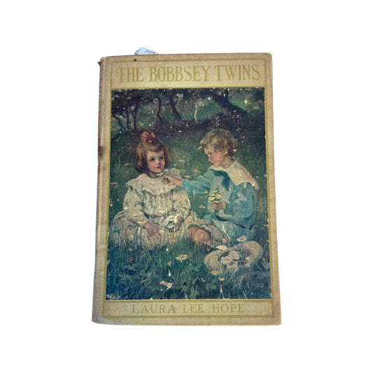 Antique The Bobbsey Twins book by Laura Lee Hope