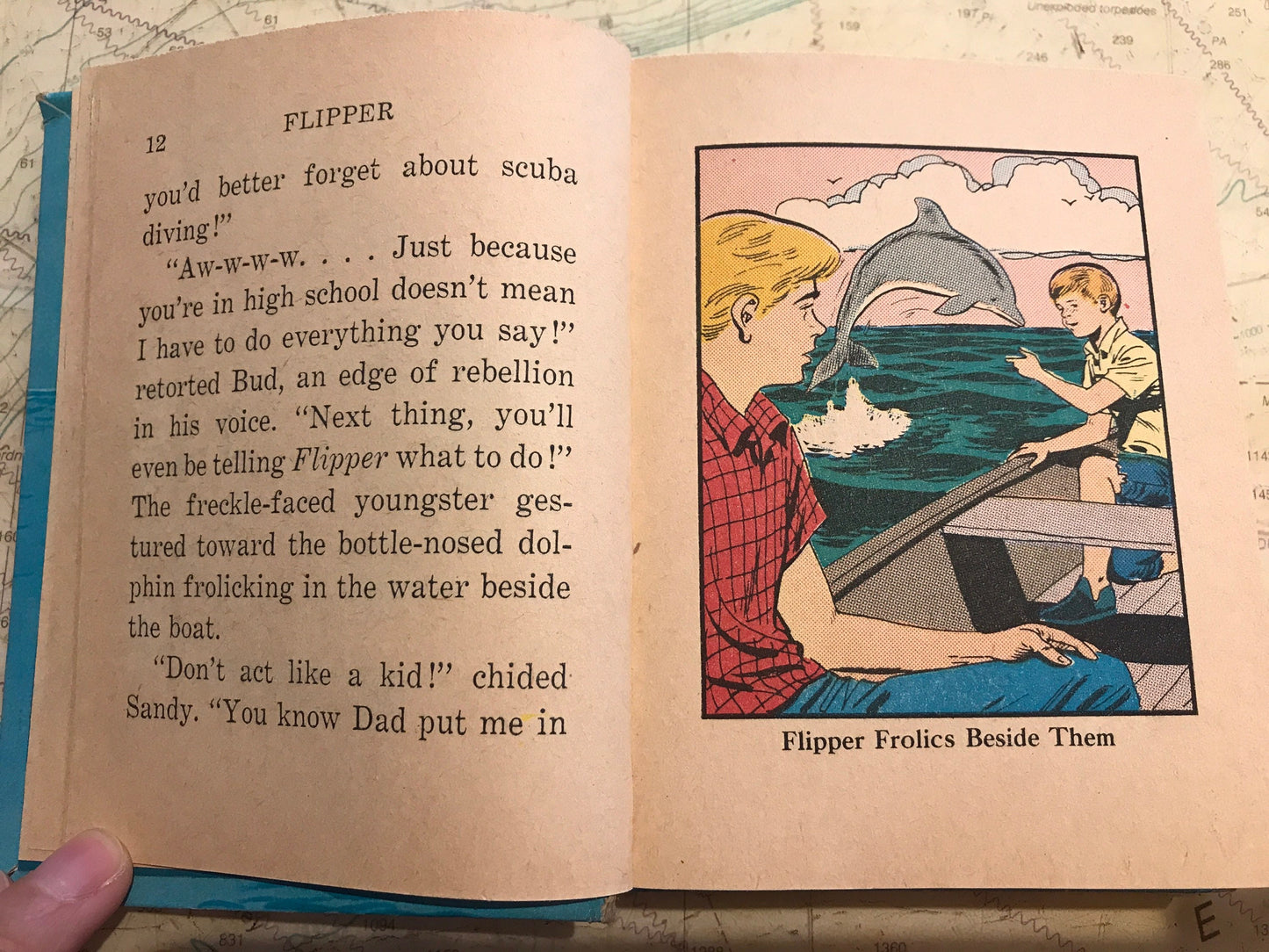 Flipper Killer Whale Trouble by George S Elrick | Literature