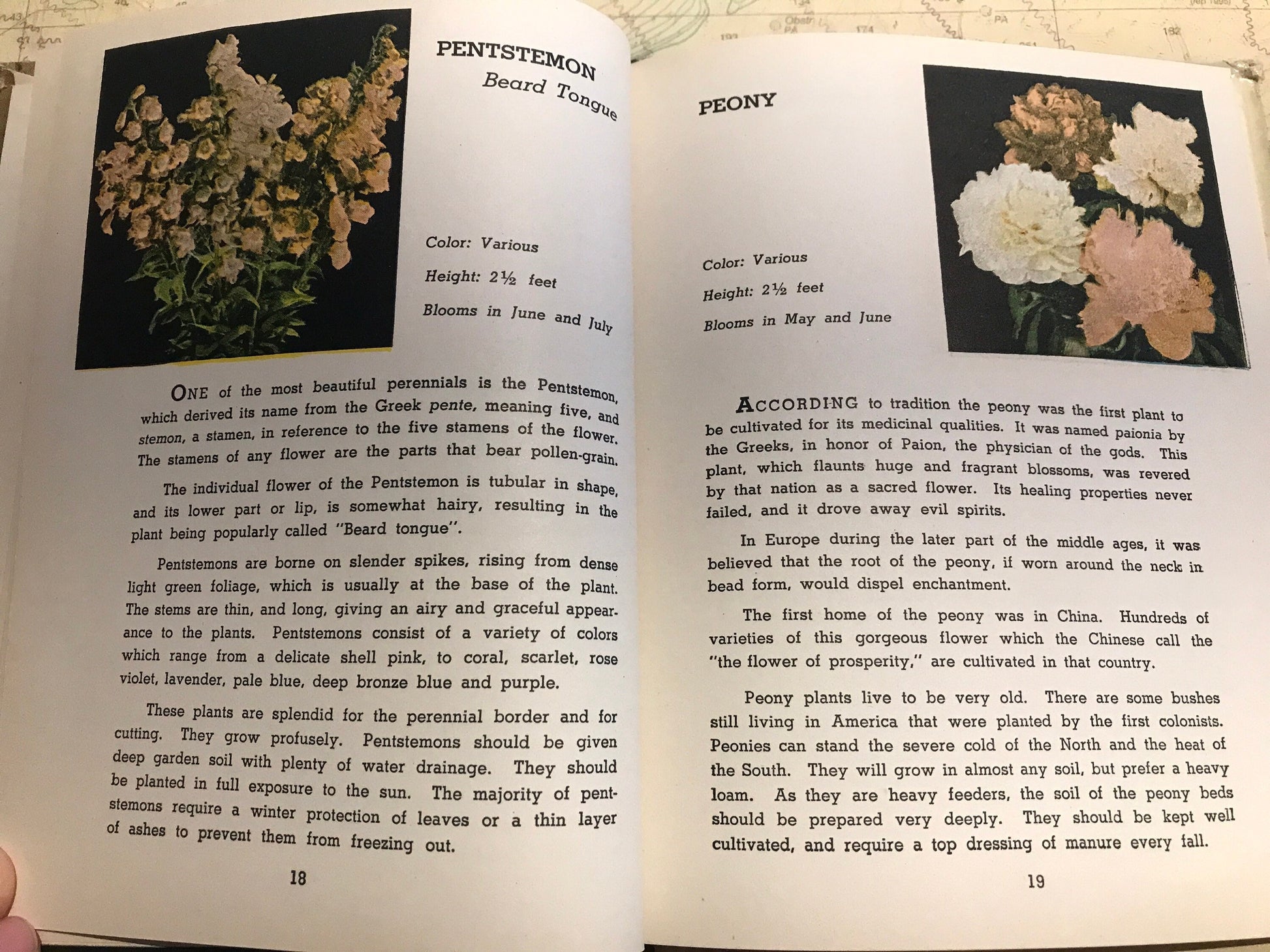 Hardy Plants For Your Garden by William E. Copeland | Gardening Book