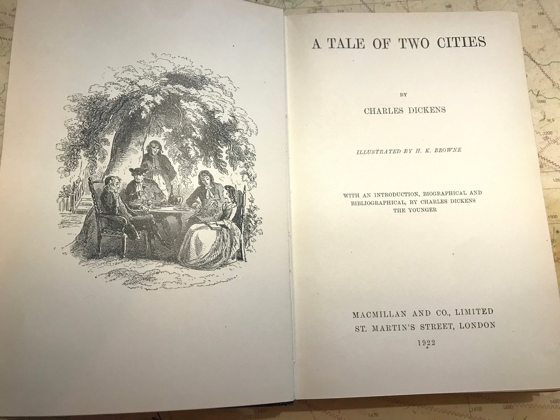 Charles Dickens Tale Of Two Cities Book, Classic Literature Novel, English Literature Gift, Literary Reader Gift