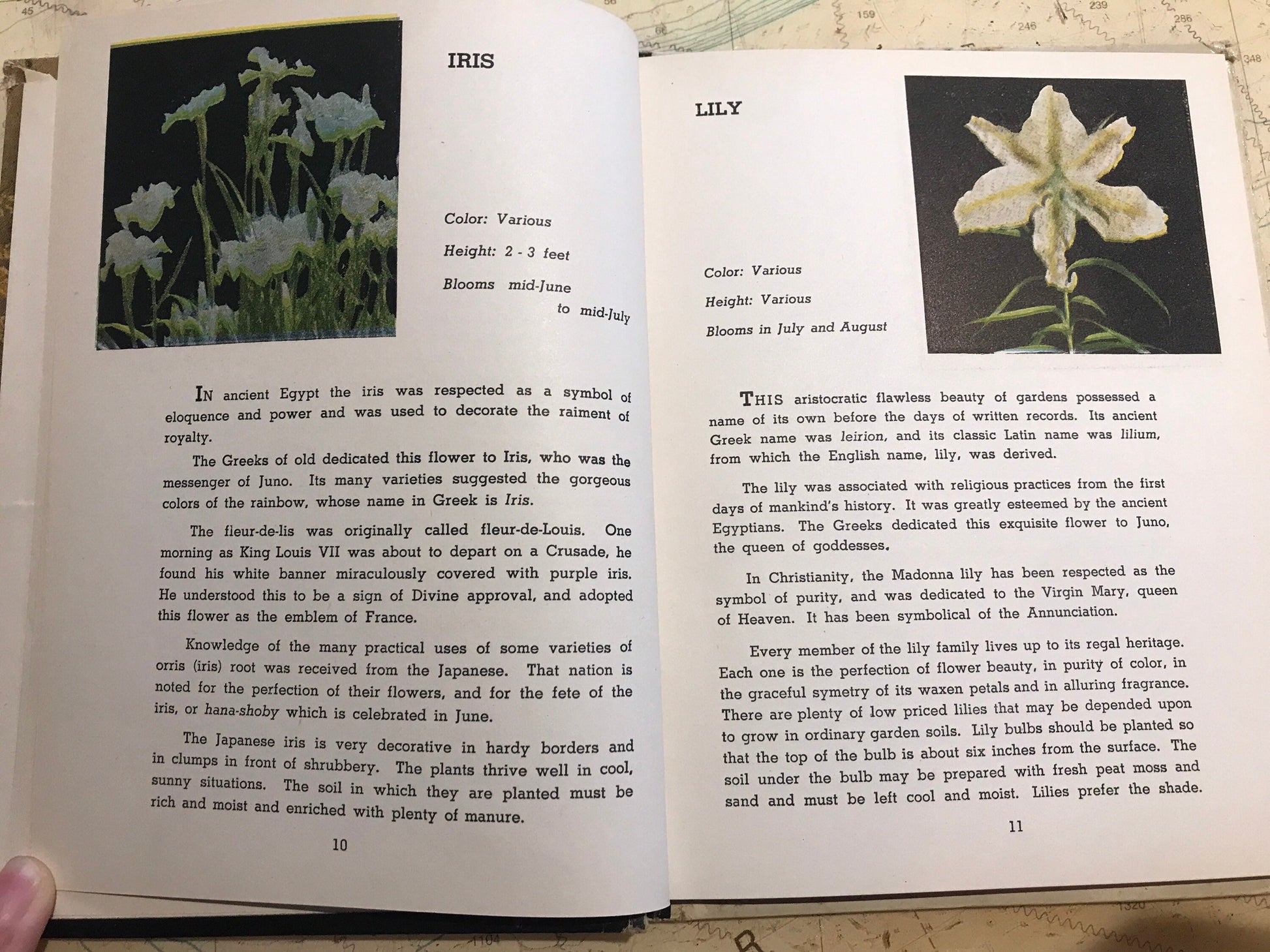 Hardy Plants For Your Garden by William E. Copeland | Gardening Book