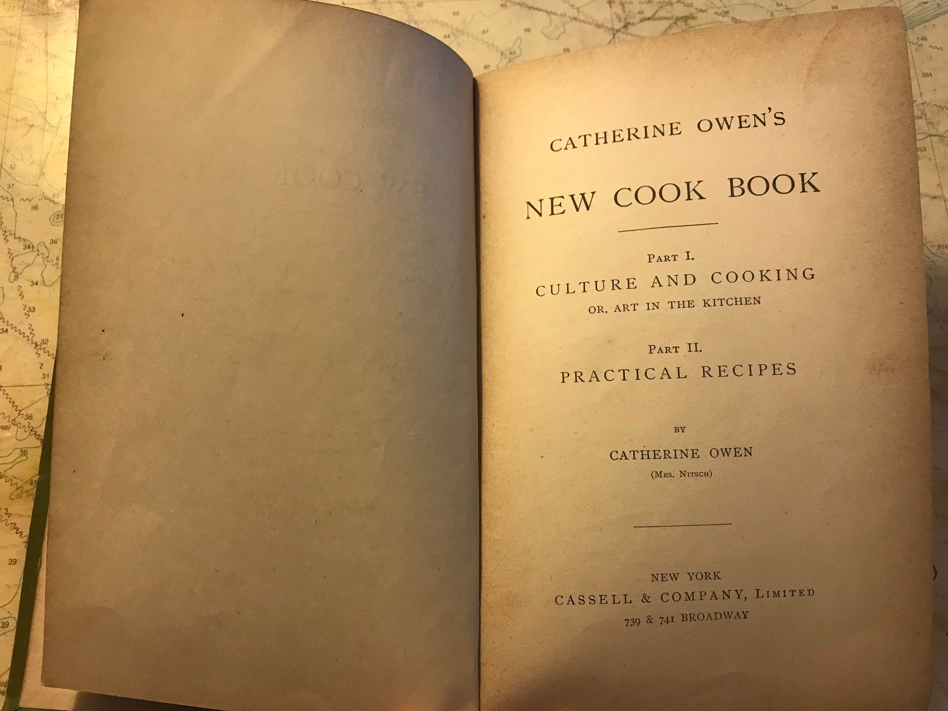 New Cook Book by Cathrine Owens | Classic Literature