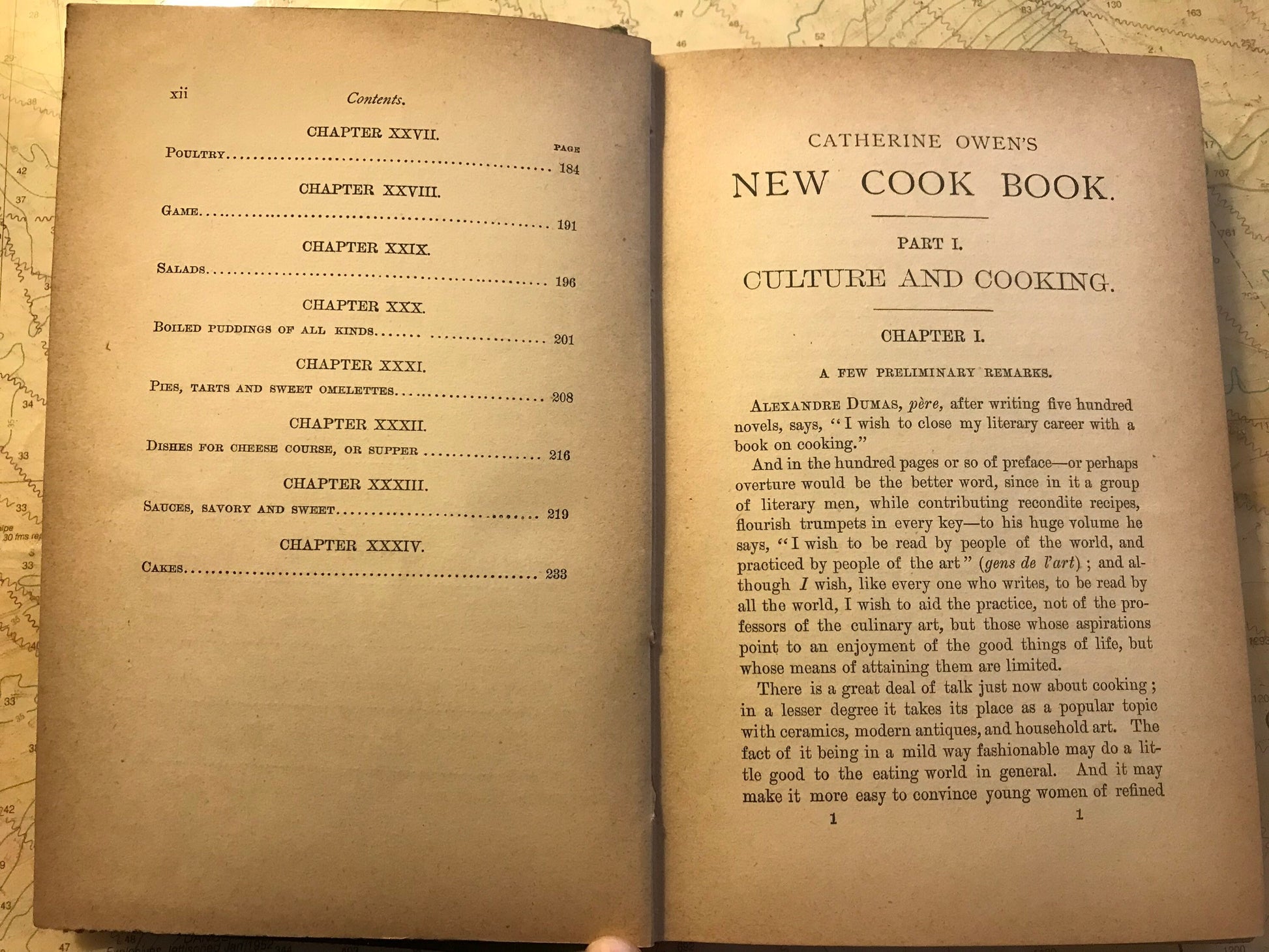 New Cook Book by Cathrine Owens | Classic Literature