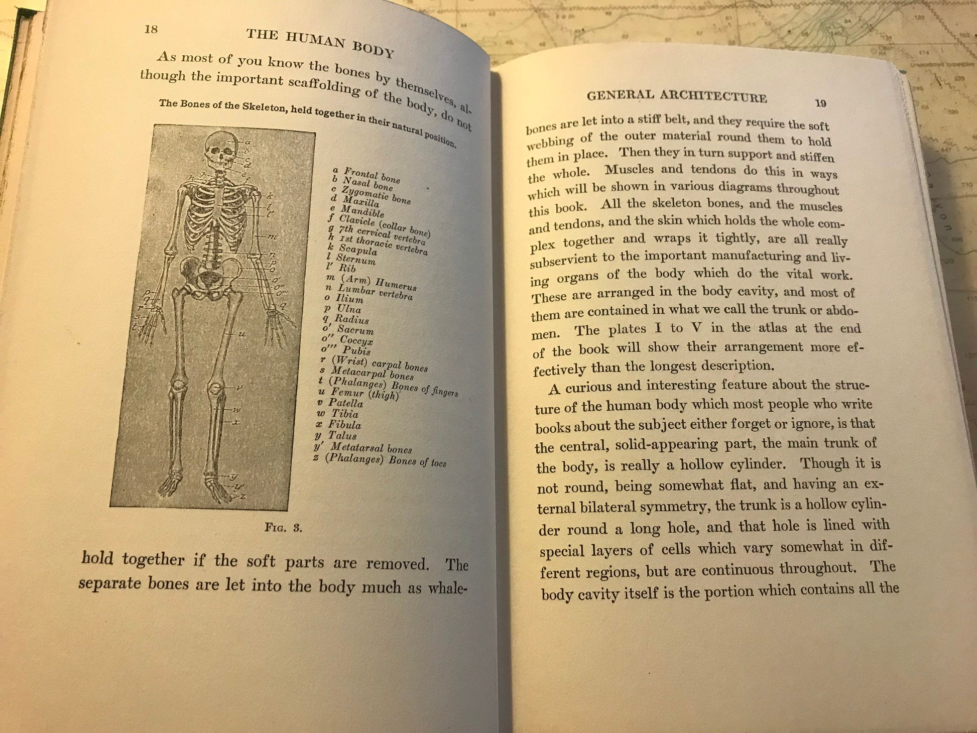 The Human Body by Marie Carmichael Stopes | Classic Literature