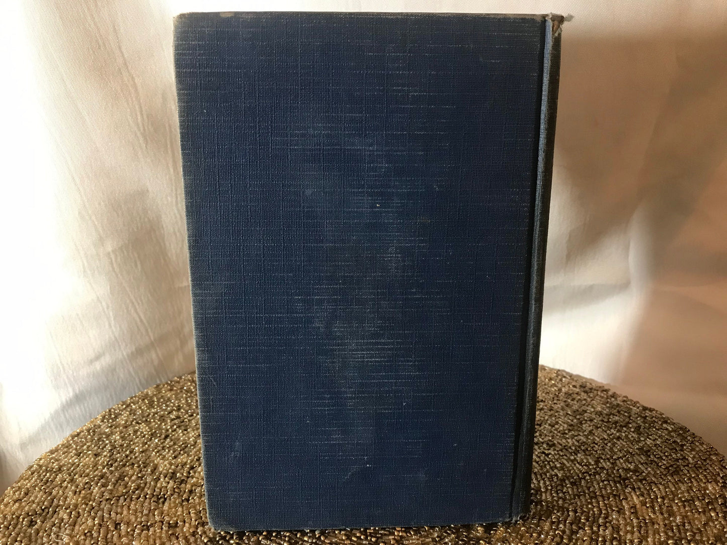Pudd’nhead Wilson and Those Extraordinary Twins by Mark Twain | Literature