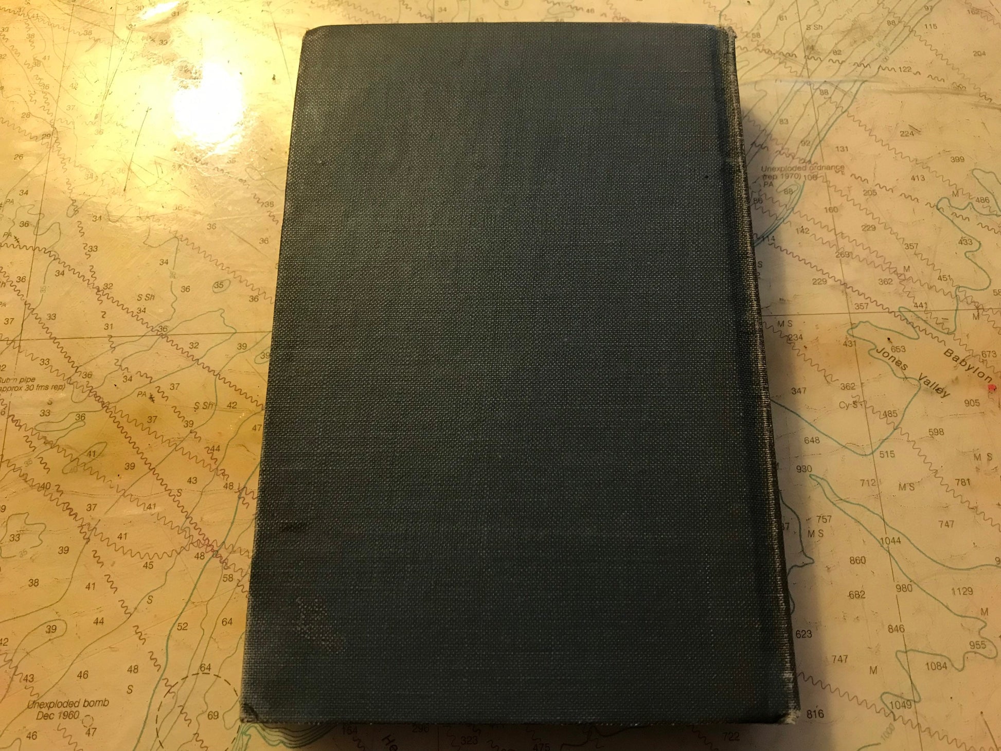 Selections From The Poems and Plays of Robert Browning by Myra Reynolds | Classic Literature