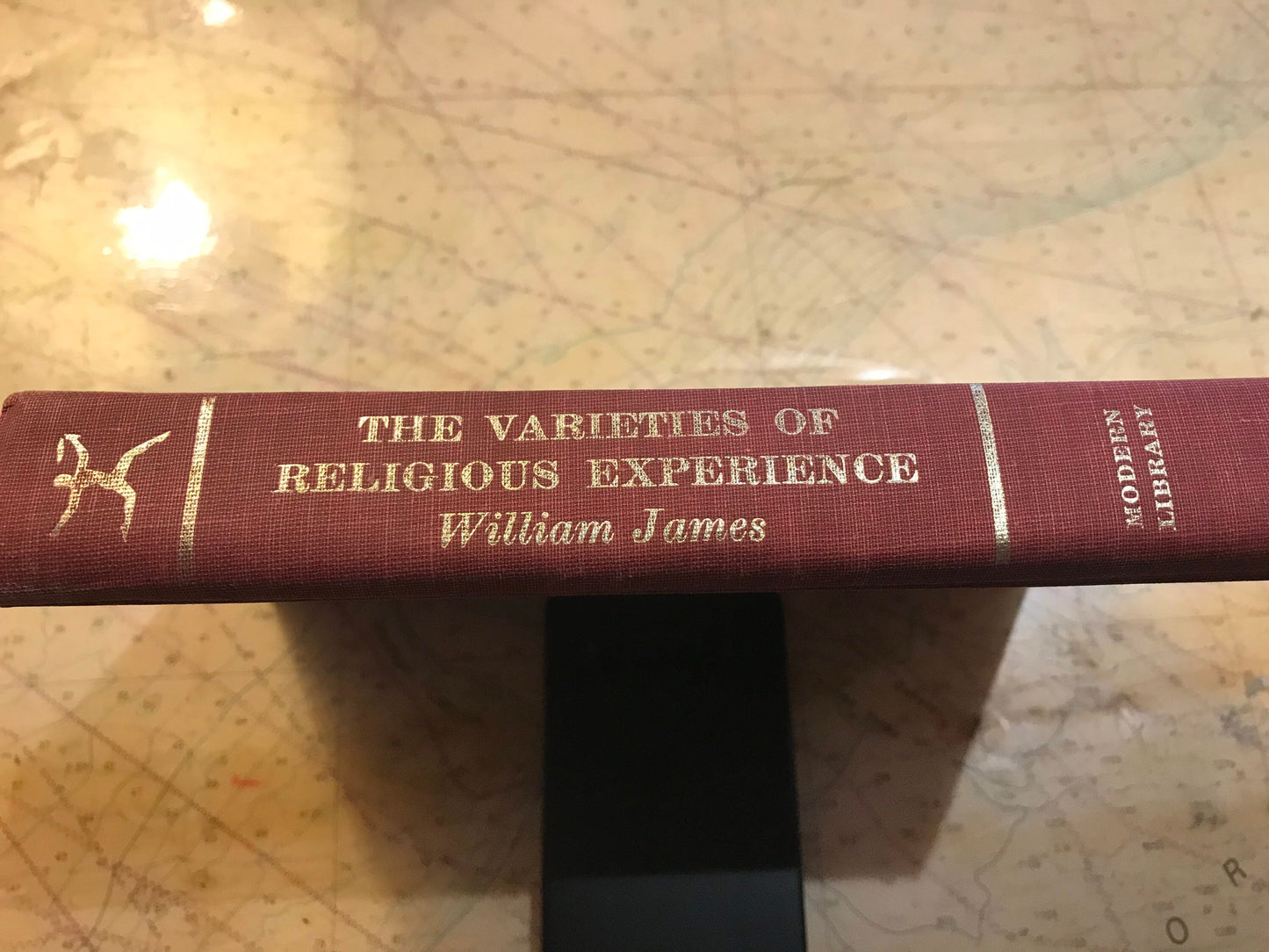 The Varieties of Religious Experience by William James | Literature