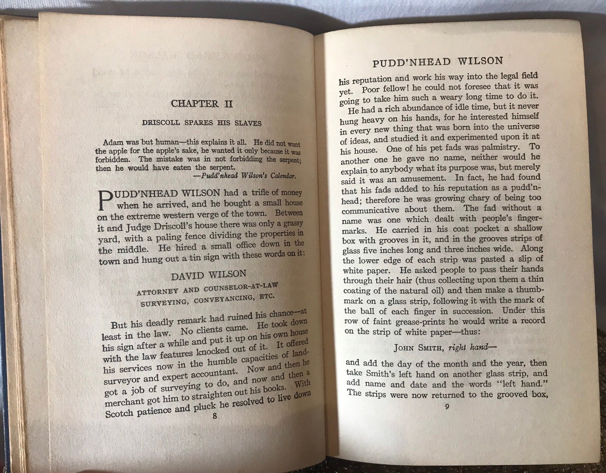 Pudd’nhead Wilson and Those Extraordinary Twins by Mark Twain | Literature