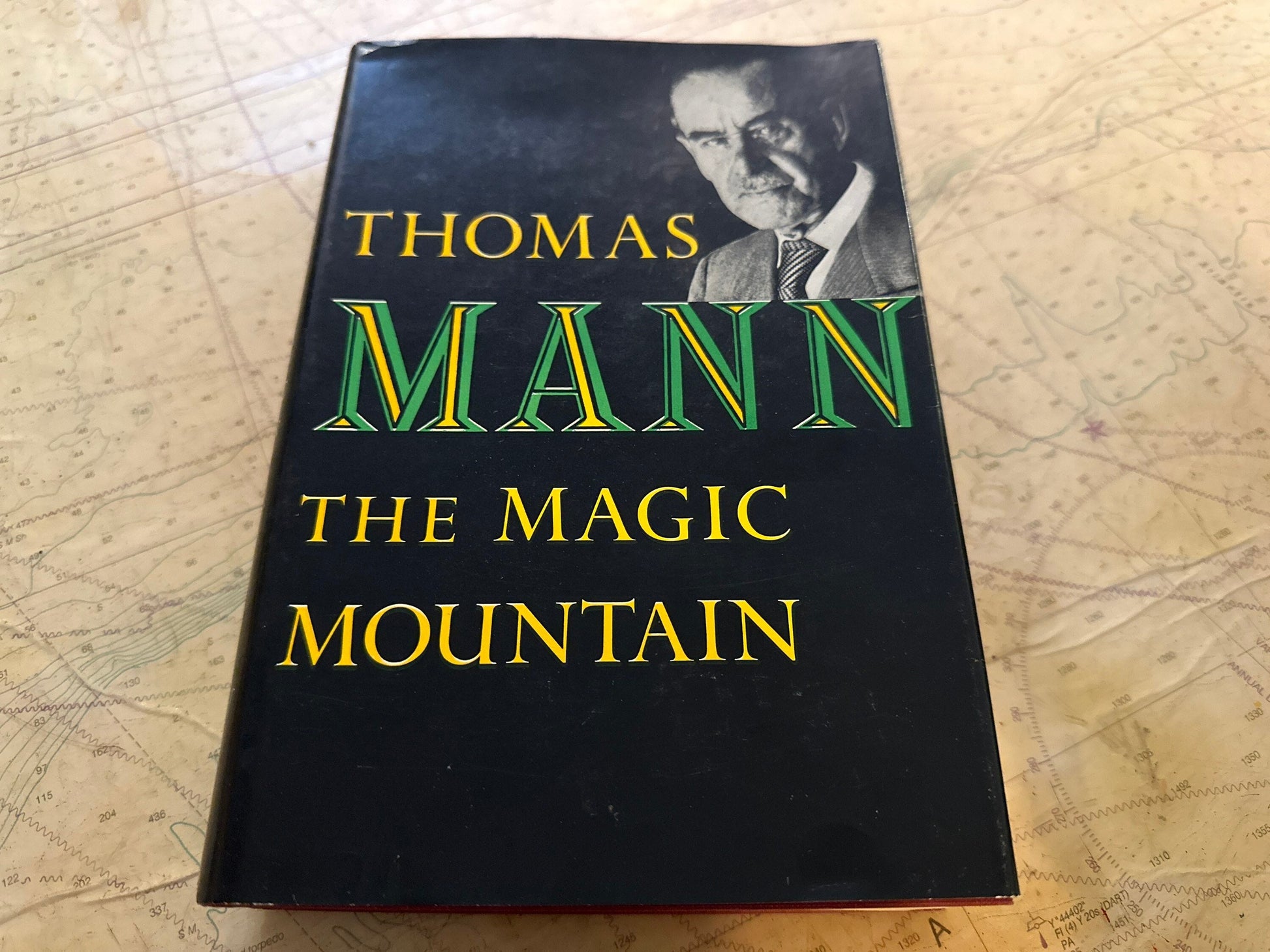 The Magic Mountain by Thomas Mann | Literature