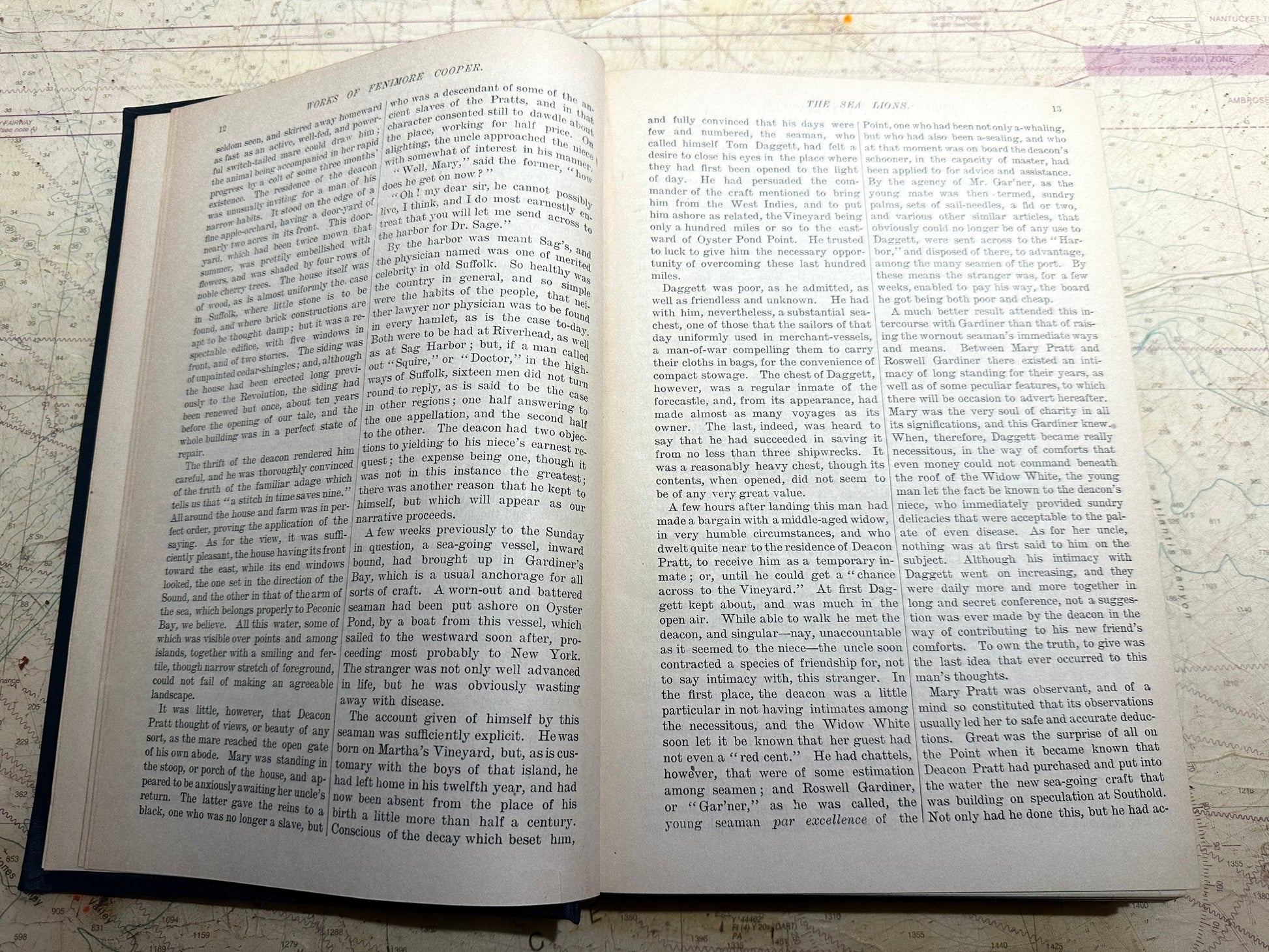 Works of J. Fenimore Cooper | The Sea Lions, Afloat And Ashore, The Water Witch | Volume Four | Literature