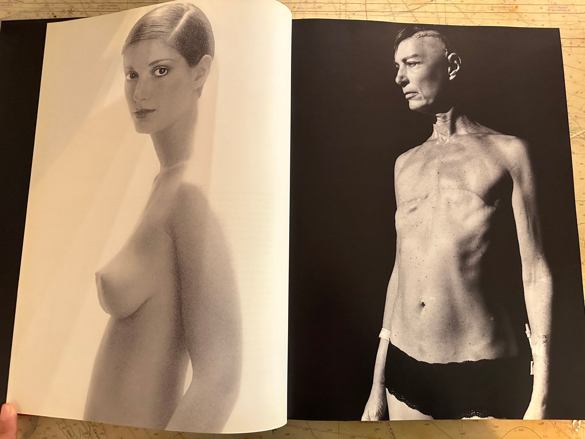 Lynn Front to Back | Assouline Publishing | Photography Book