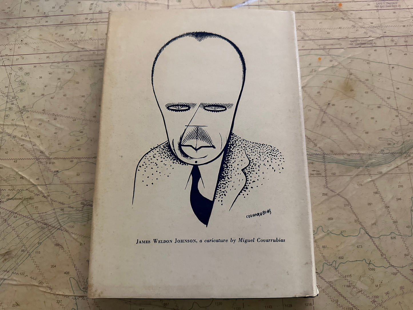 The Autobiography Of An Ex-Coloured Man by James Weldon Johnson | Classic Literature