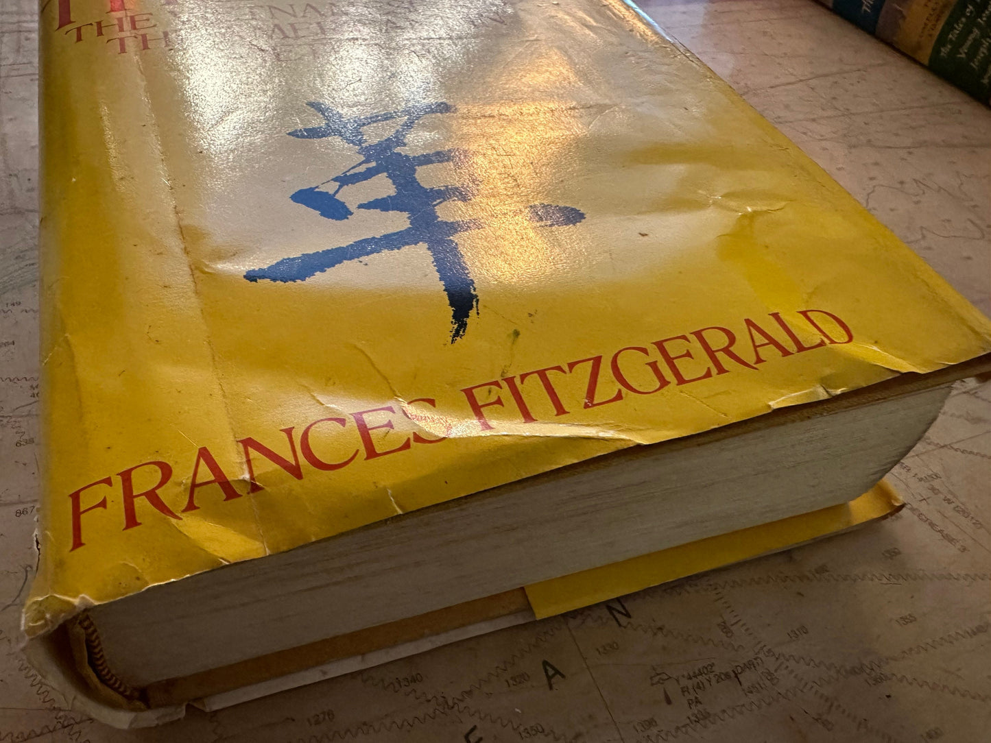 Fire In The Lake by Frances Fitzgerald | The Vietnamese and The Americans In Vietnam | Classic Literature