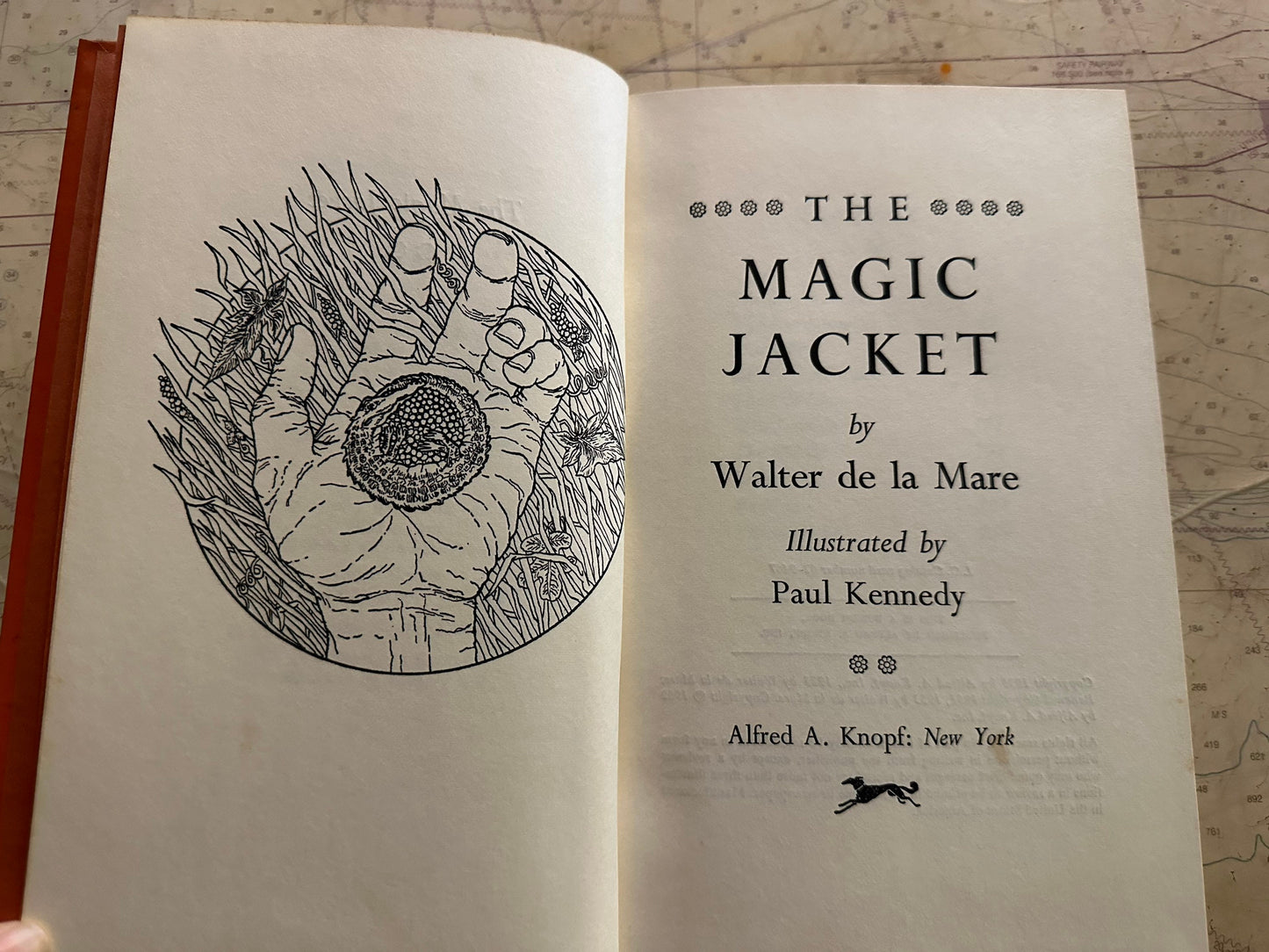 The Magic Jacket by Walter De La Mare | Classic Literature