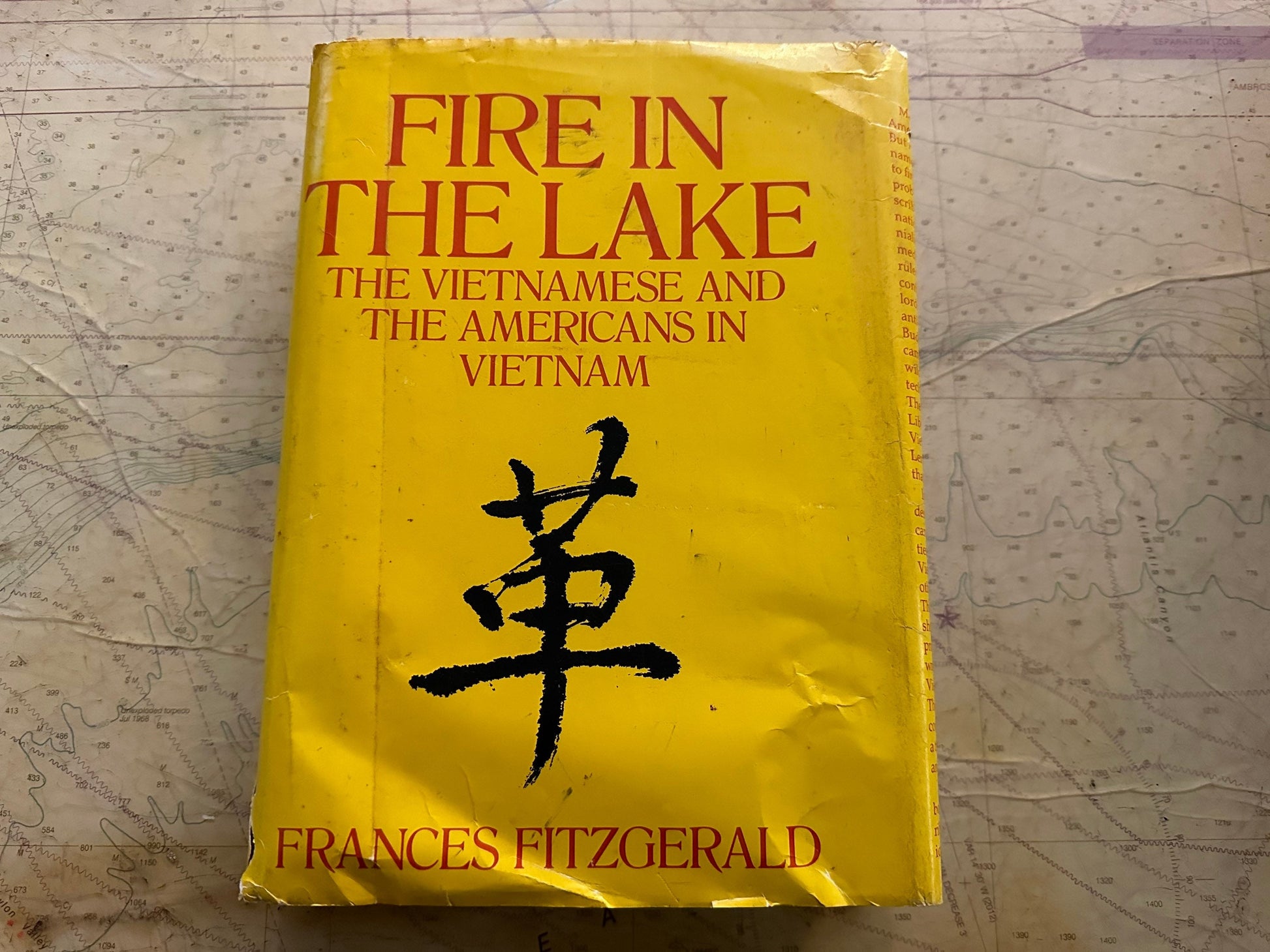 Fire In The Lake by Frances Fitzgerald | The Vietnamese and The Americans In Vietnam | Classic Literature