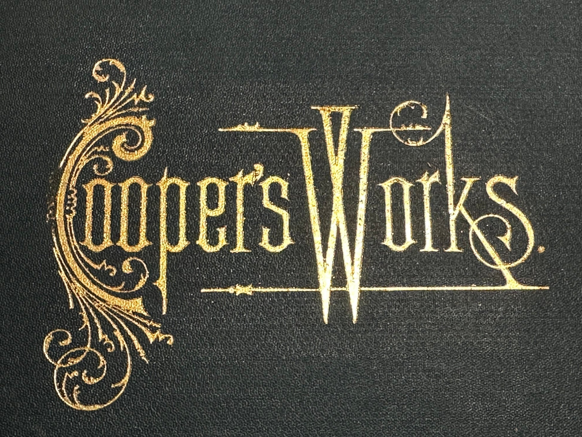 Works of J. Fenimore Cooper | The Sea Lions, Afloat And Ashore, The Water Witch | Volume Four | Literature