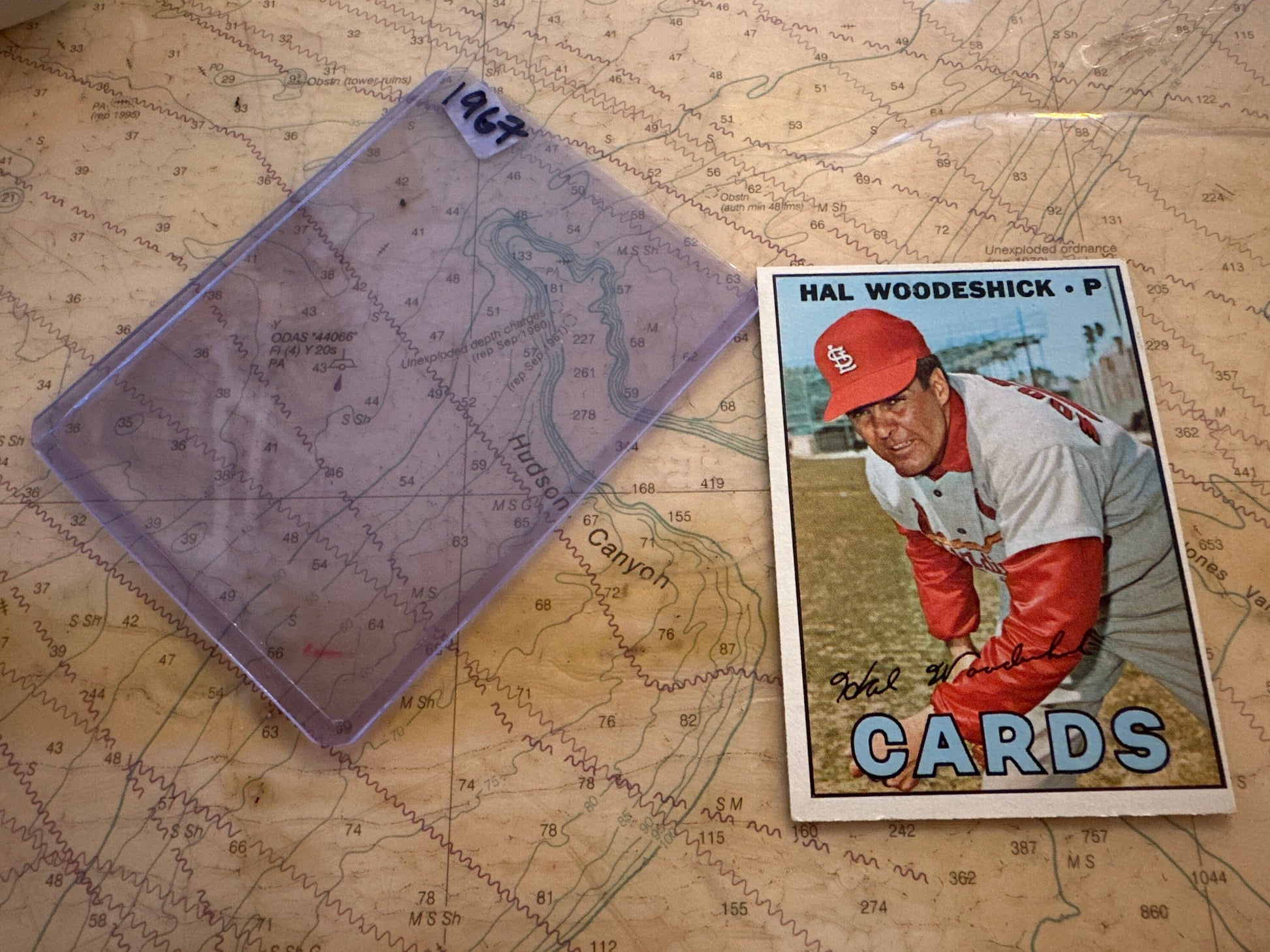 Hal Woodeshick - St. Louis Cardinals Pitcher - Baseball Card | Memorabilia