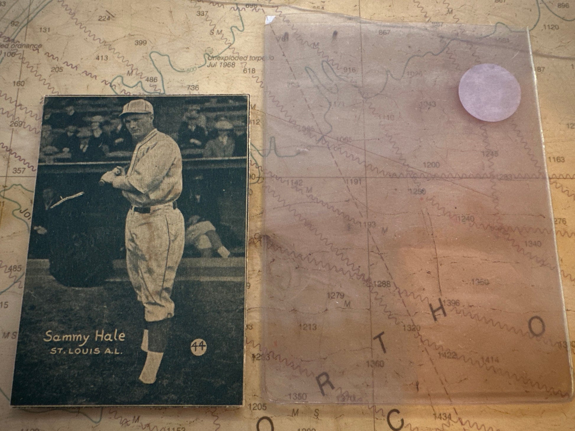 1931 Sammy Hale Baseball Card | Memorabilia