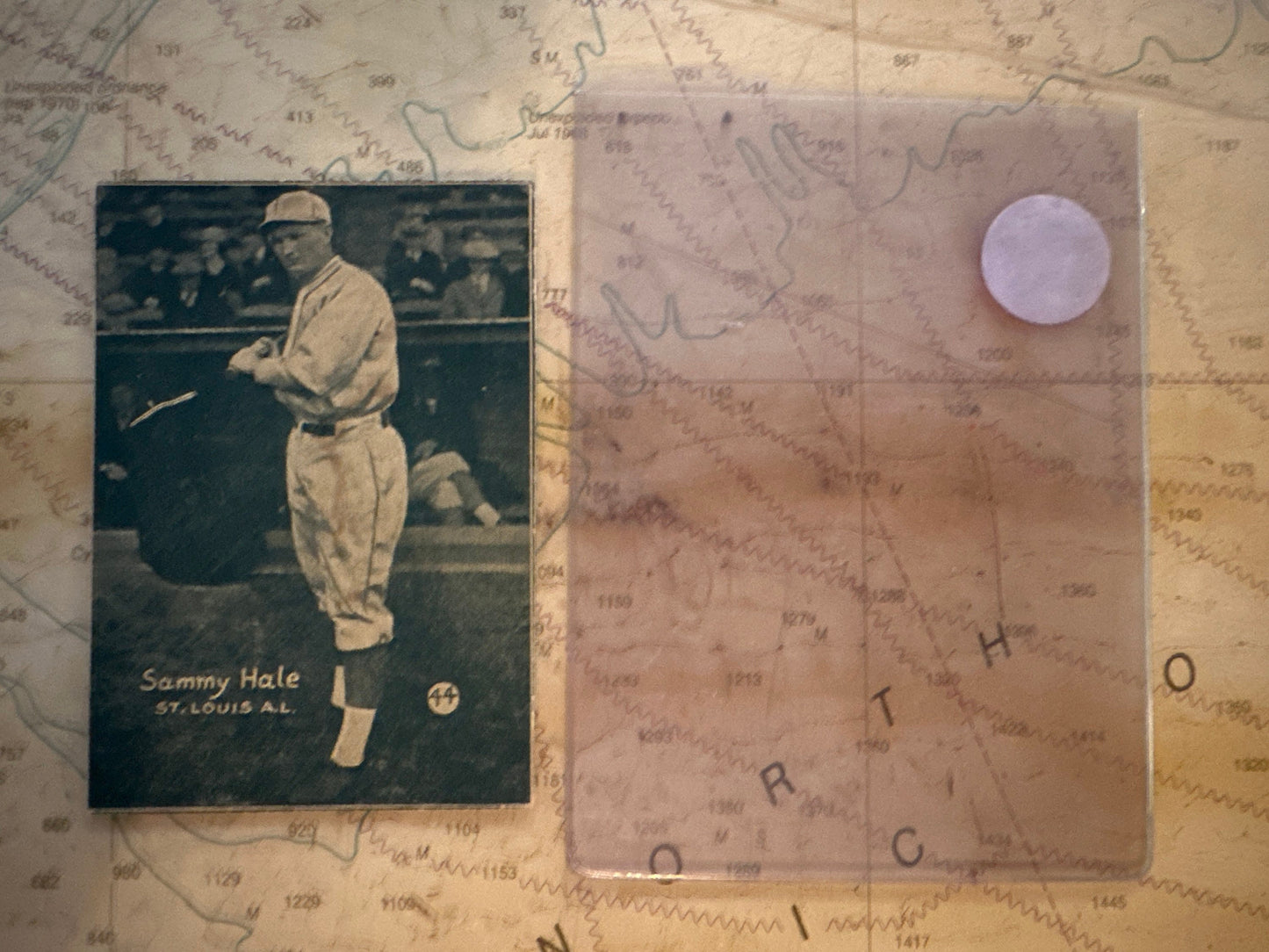 1931 Sammy Hale Baseball Card | Memorabilia