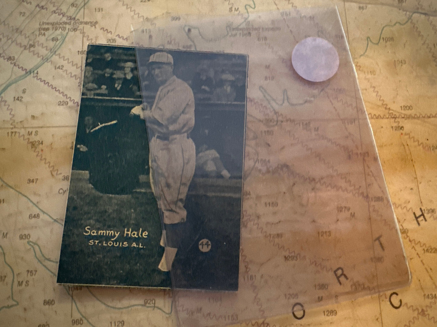 1931 Sammy Hale Baseball Card | Memorabilia