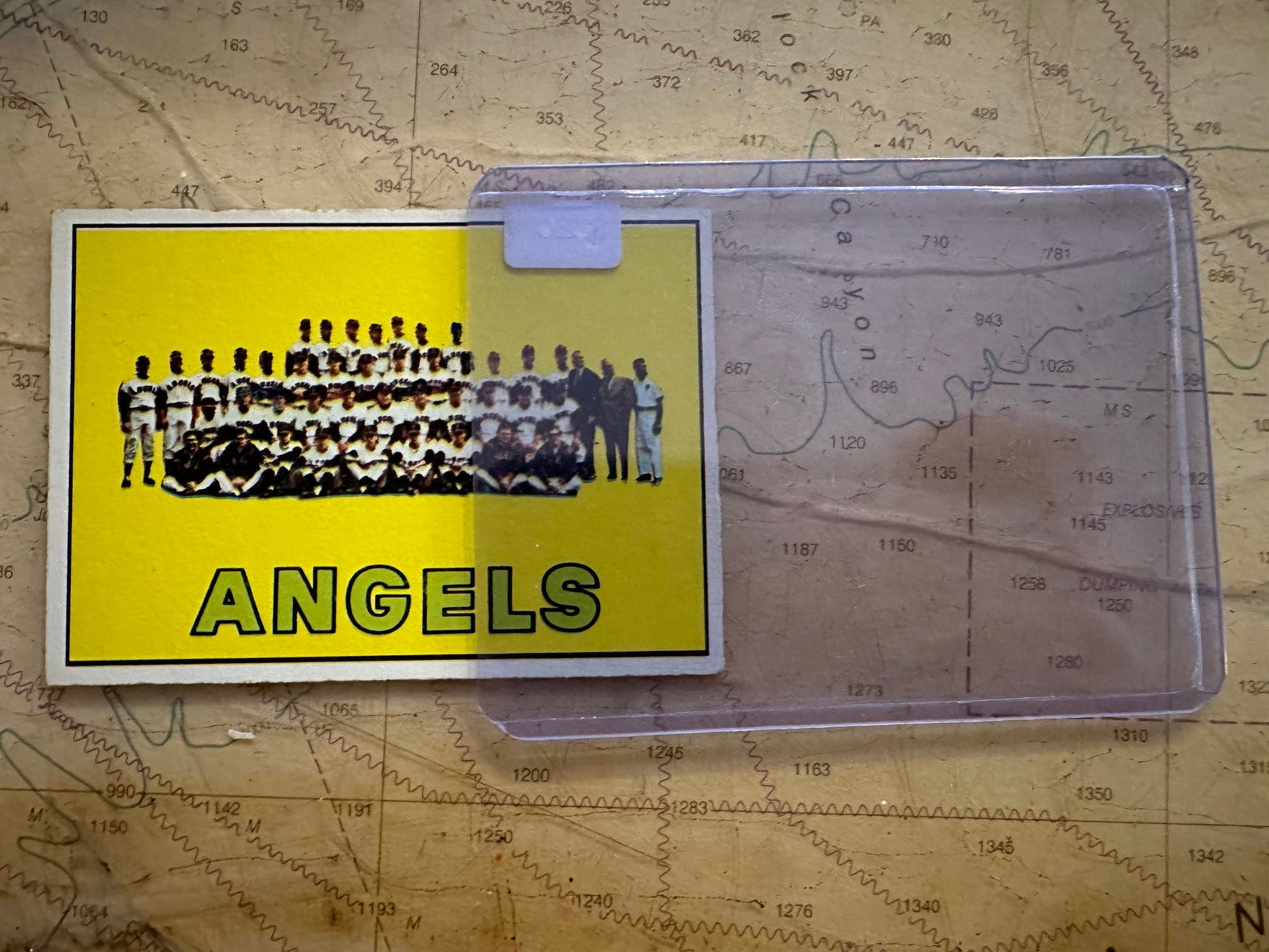 California Angles Team - Baseball Card | Memorabilia