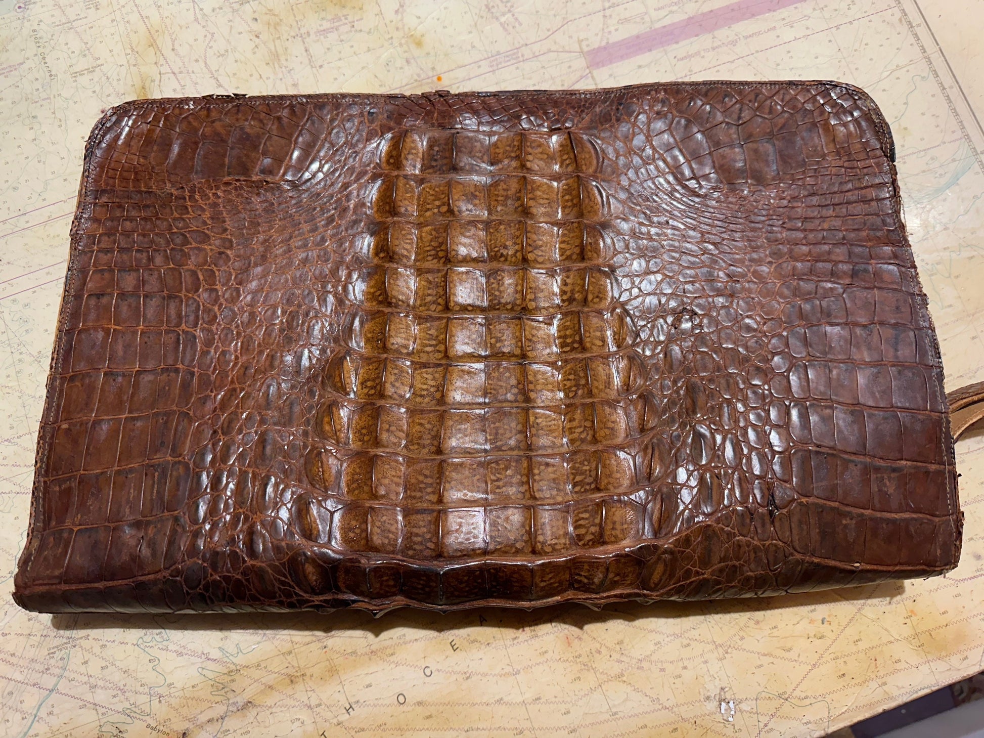 Vintage Genuine Crocodile Brown Leather Case | Accessories