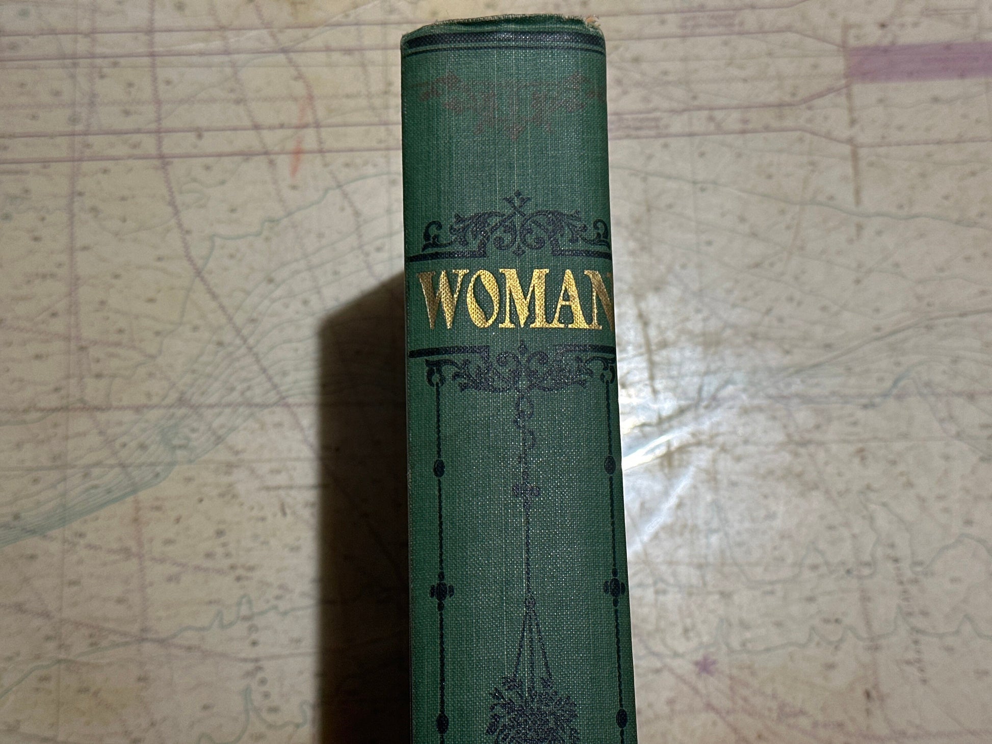 Woman by William C King | Rare Literature