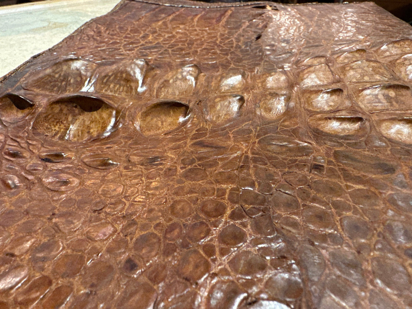 Vintage Genuine Crocodile Brown Leather Case | Accessories