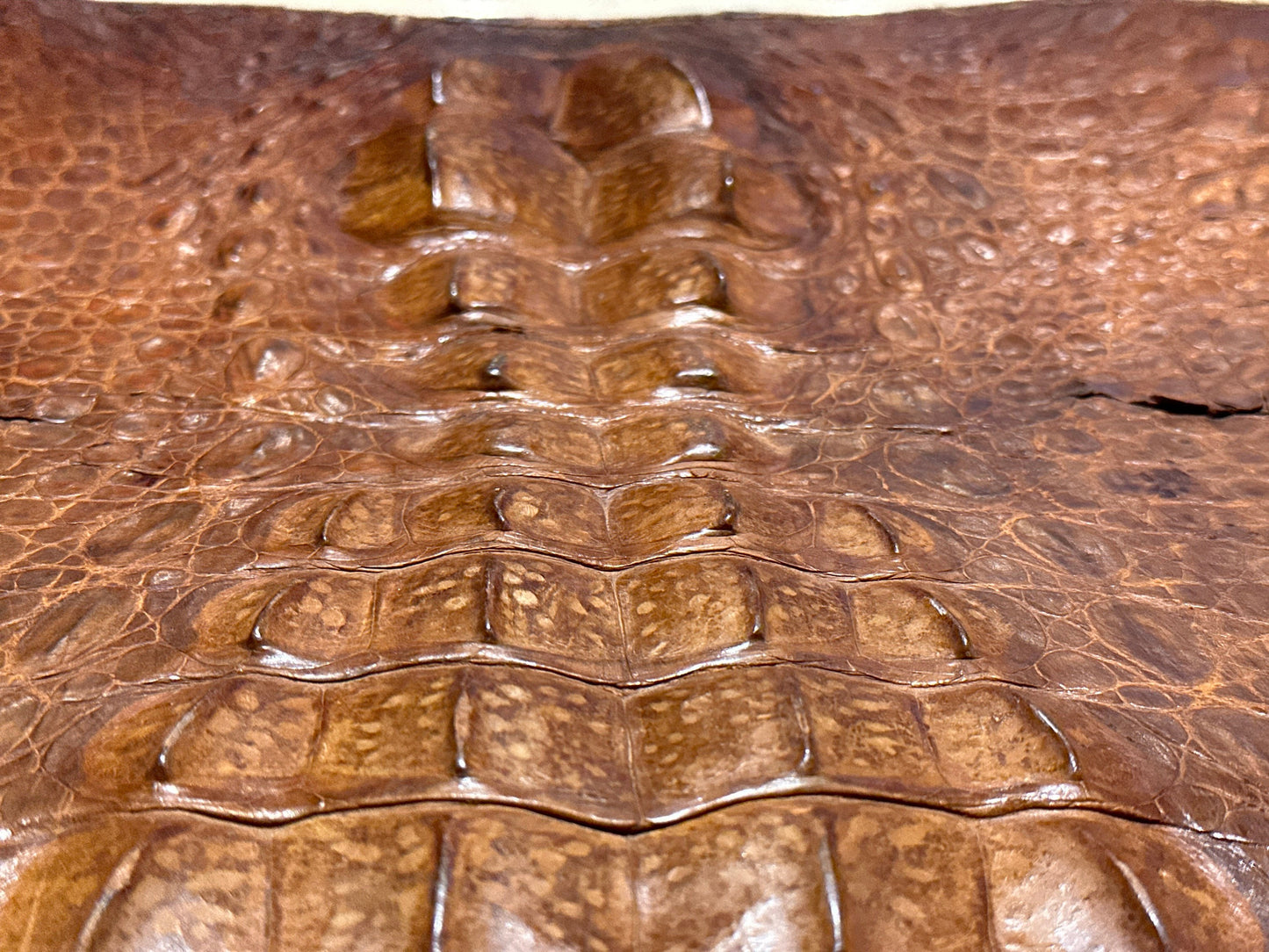 Vintage Genuine Crocodile Brown Leather Case | Accessories