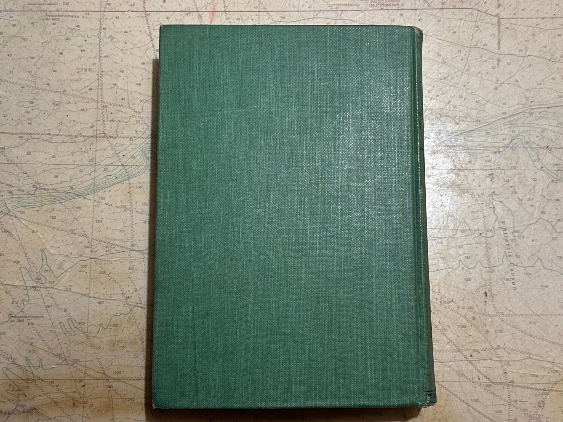 Woman by William C King | Rare Literature