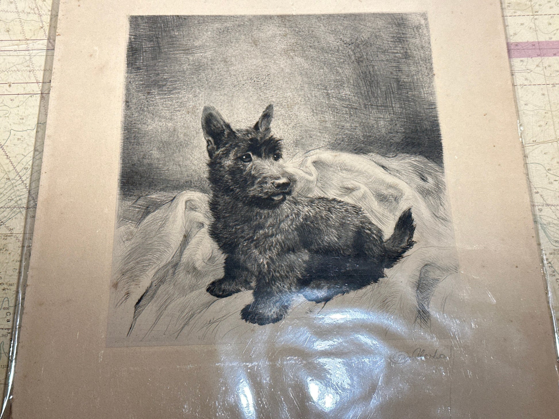 Puppy Pencil Sketch Art | Unframed | Home Decor