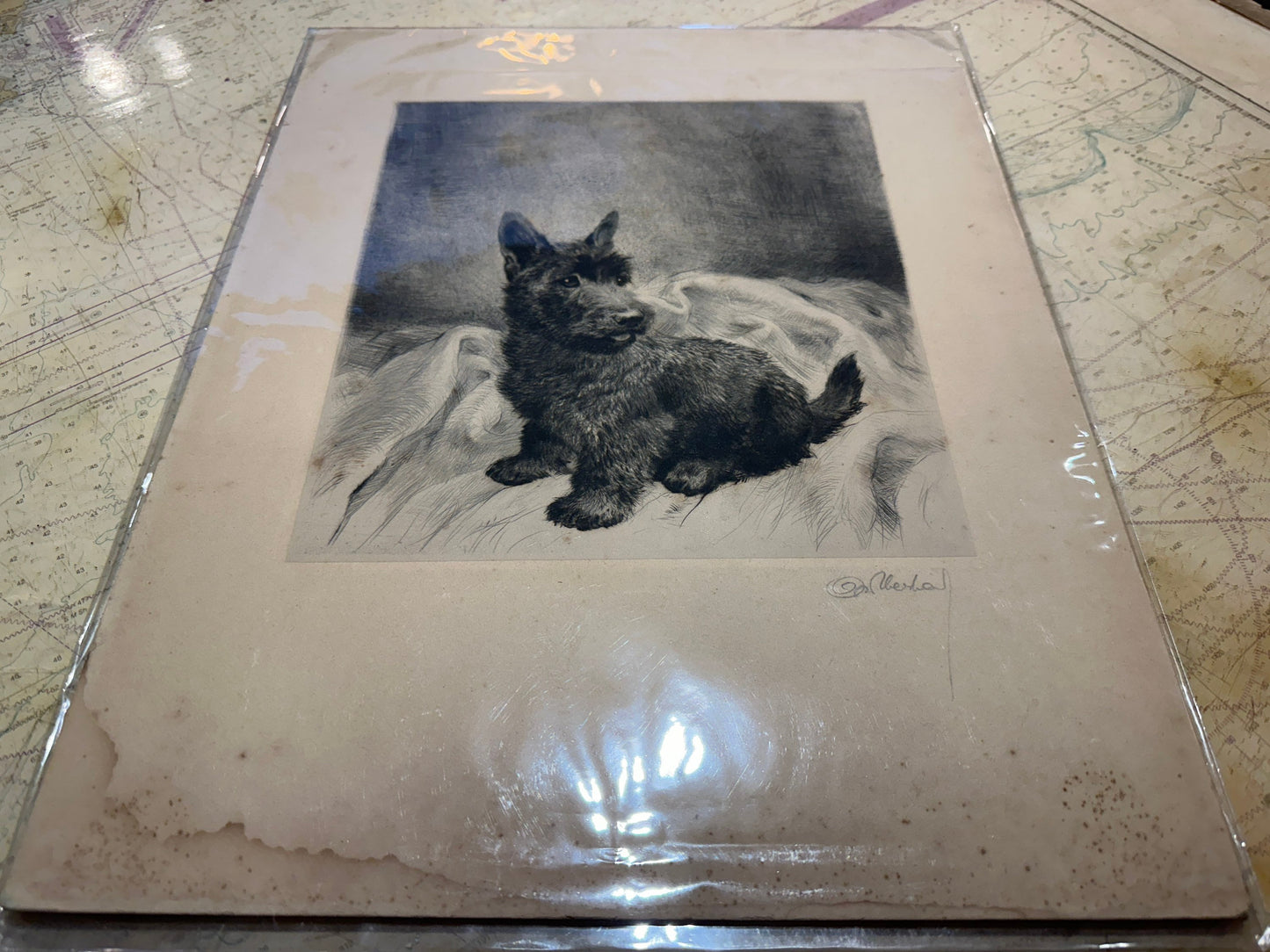 Puppy Pencil Sketch Art | Unframed | Home Decor