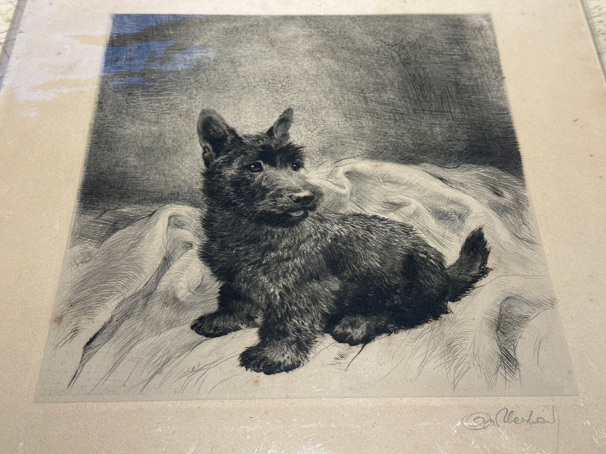 Puppy Pencil Sketch Art | Unframed | Home Decor