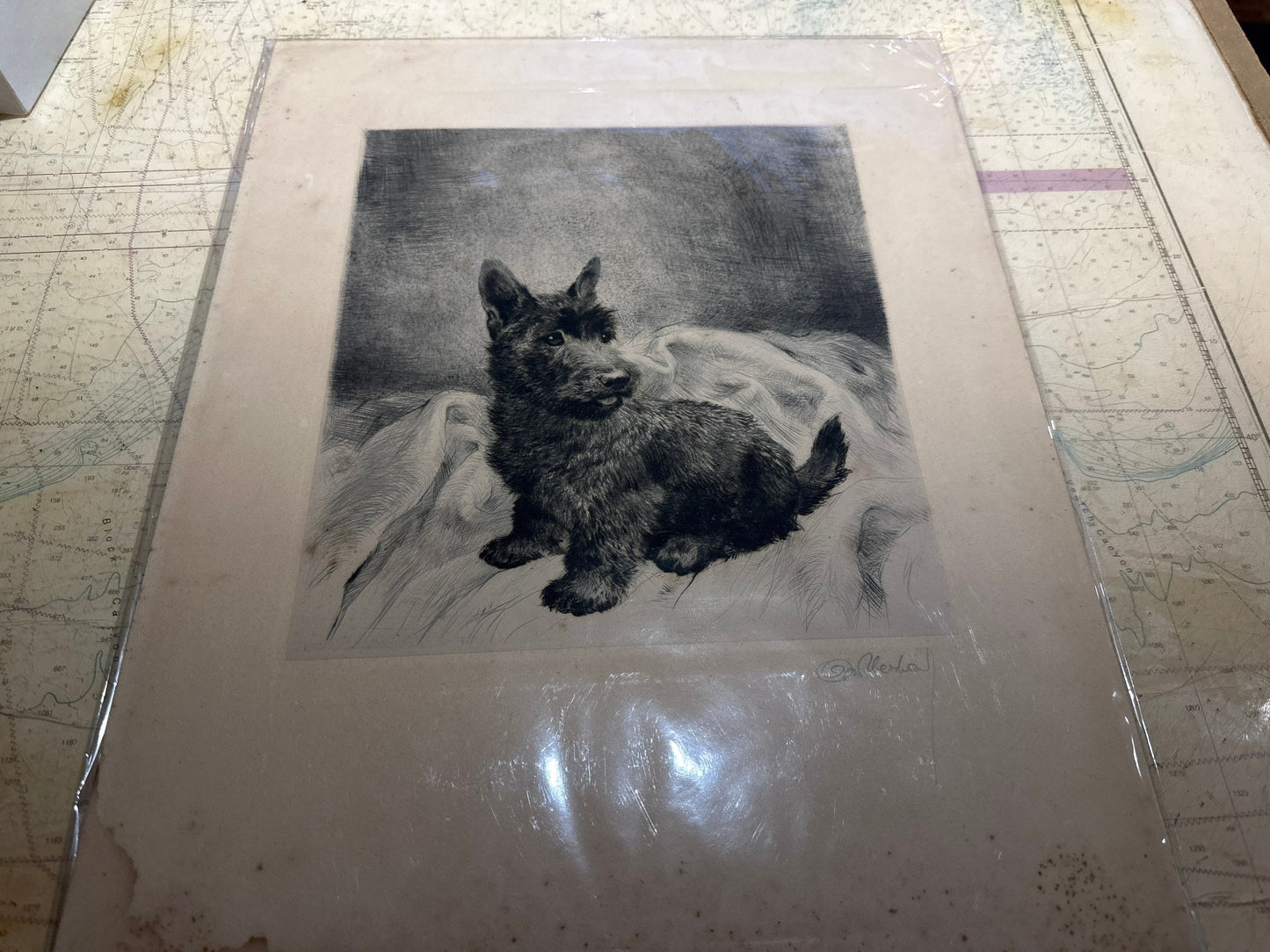 Puppy Pencil Sketch Art | Unframed | Home Decor