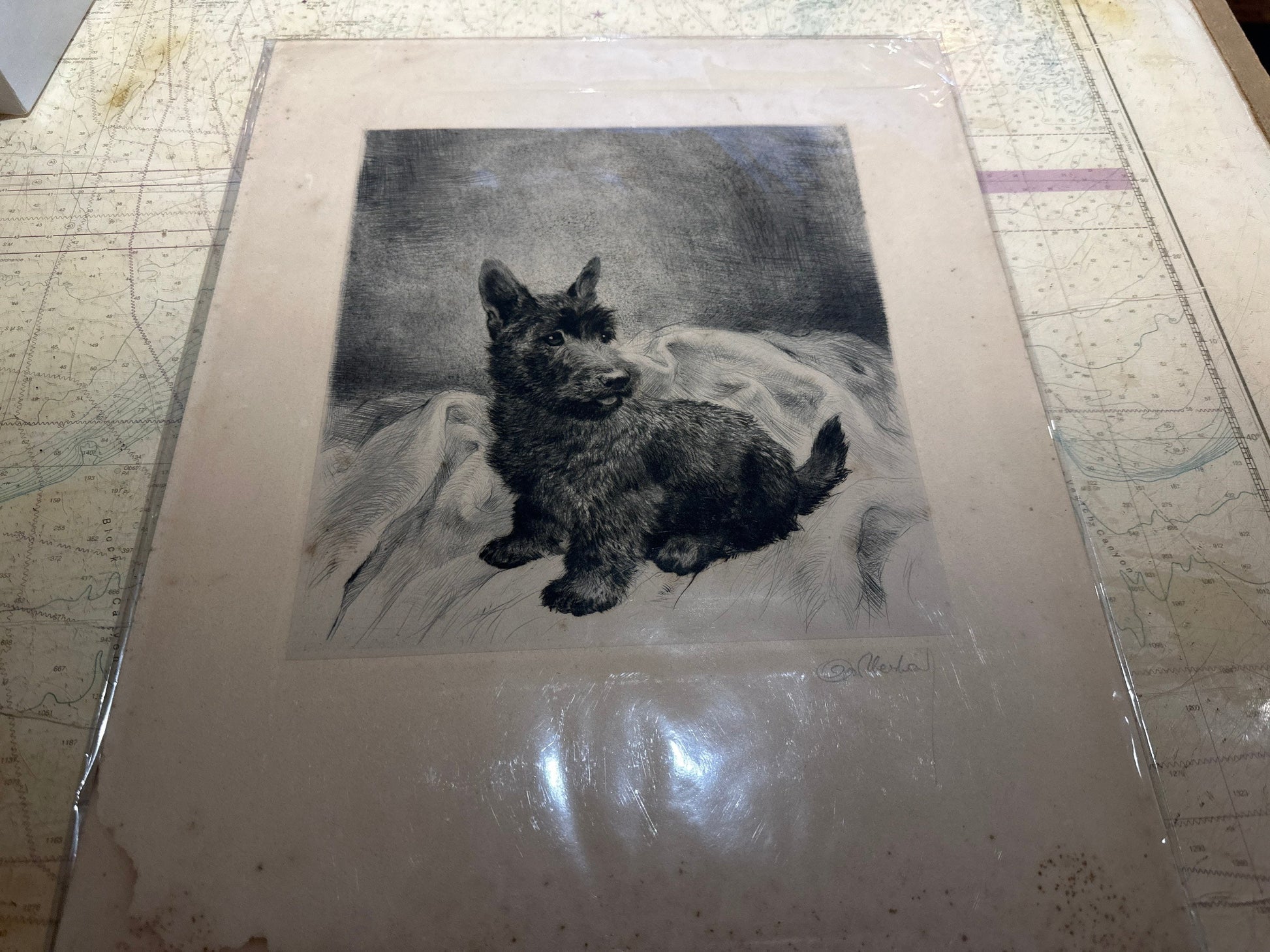 Puppy Pencil Sketch Art | Unframed | Home Decor