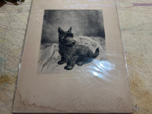 Puppy Pencil Sketch Art | Unframed | Home Decor