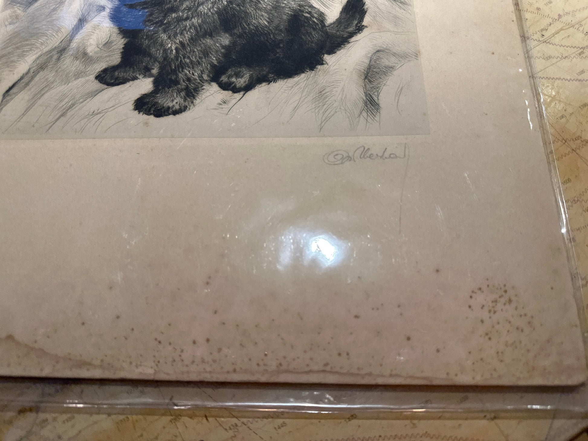 Puppy Pencil Sketch Art | Unframed | Home Decor