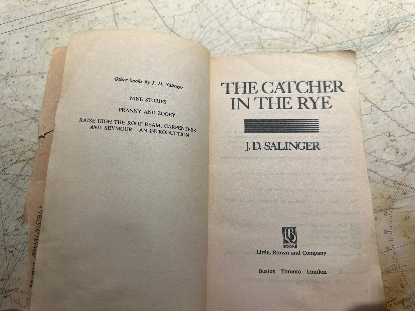 The Catcher In The Rye by J.D. Salinger | Classic Literature