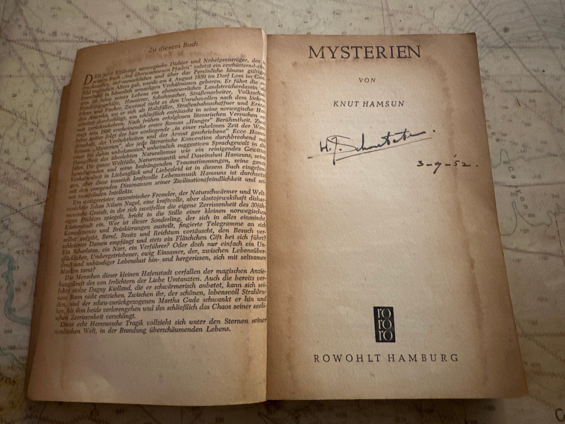 Mysterien by Knut Hamsun | Literature