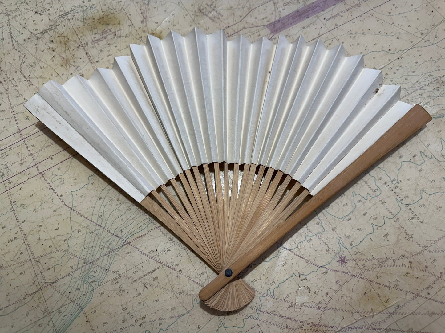 Chinese Hand Held Folding Fan | Paper Fan | Accessories