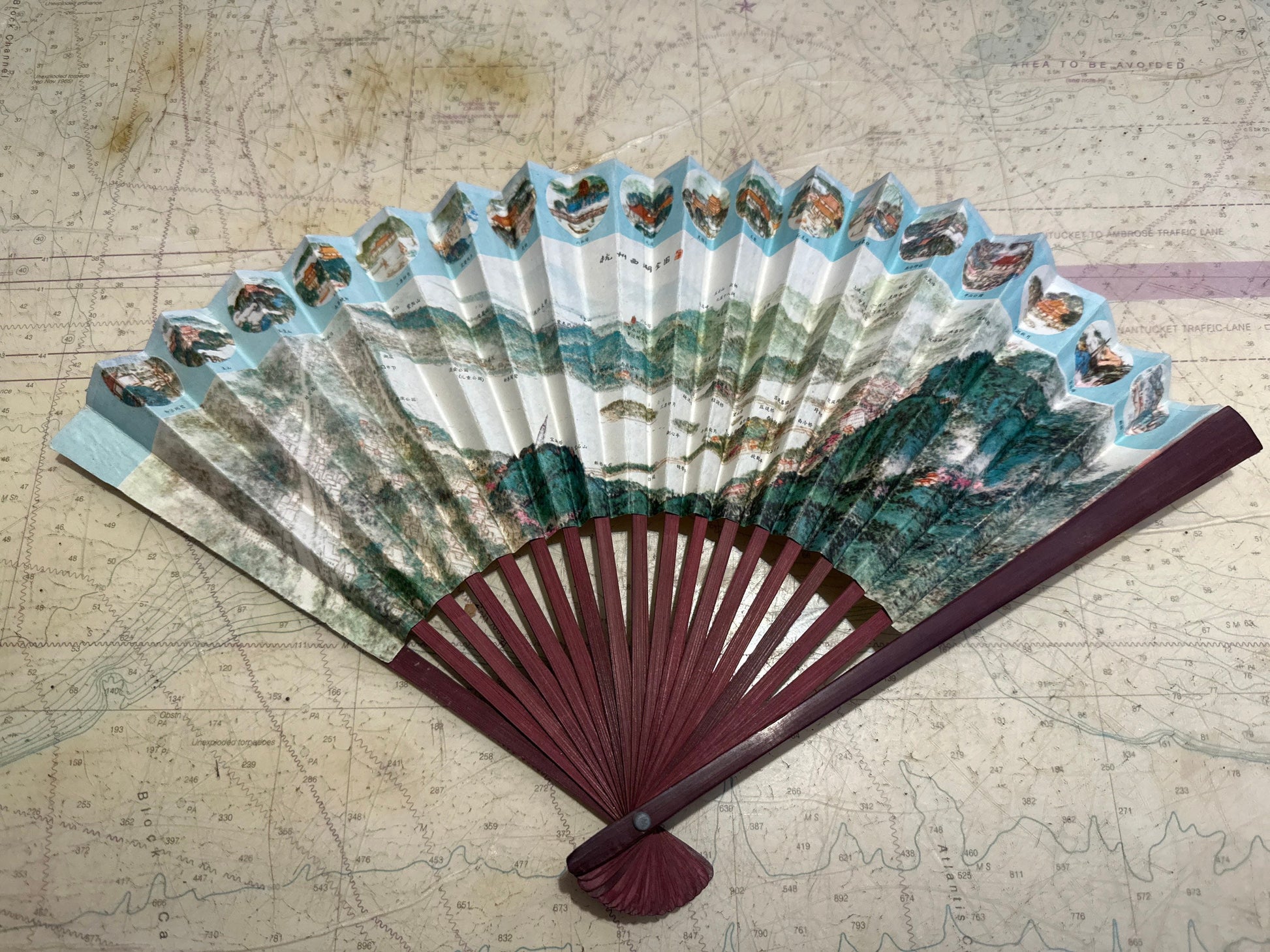 Chinese Hand Held Folding Fan | Paper Fan | Accessories