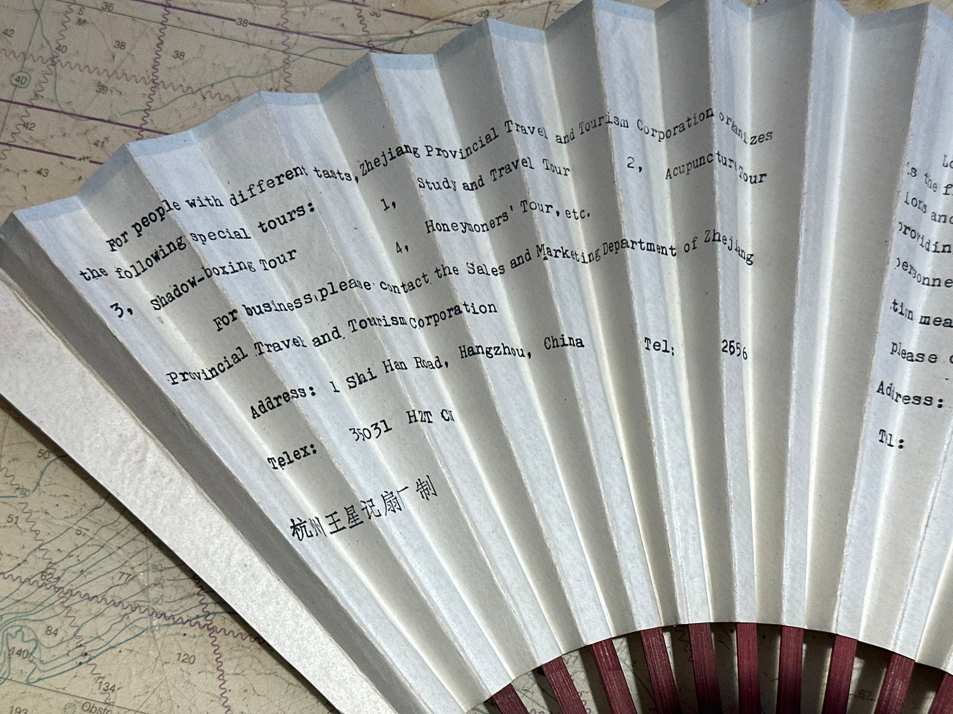 Chinese Hand Held Folding Fan | Paper Fan | Accessories