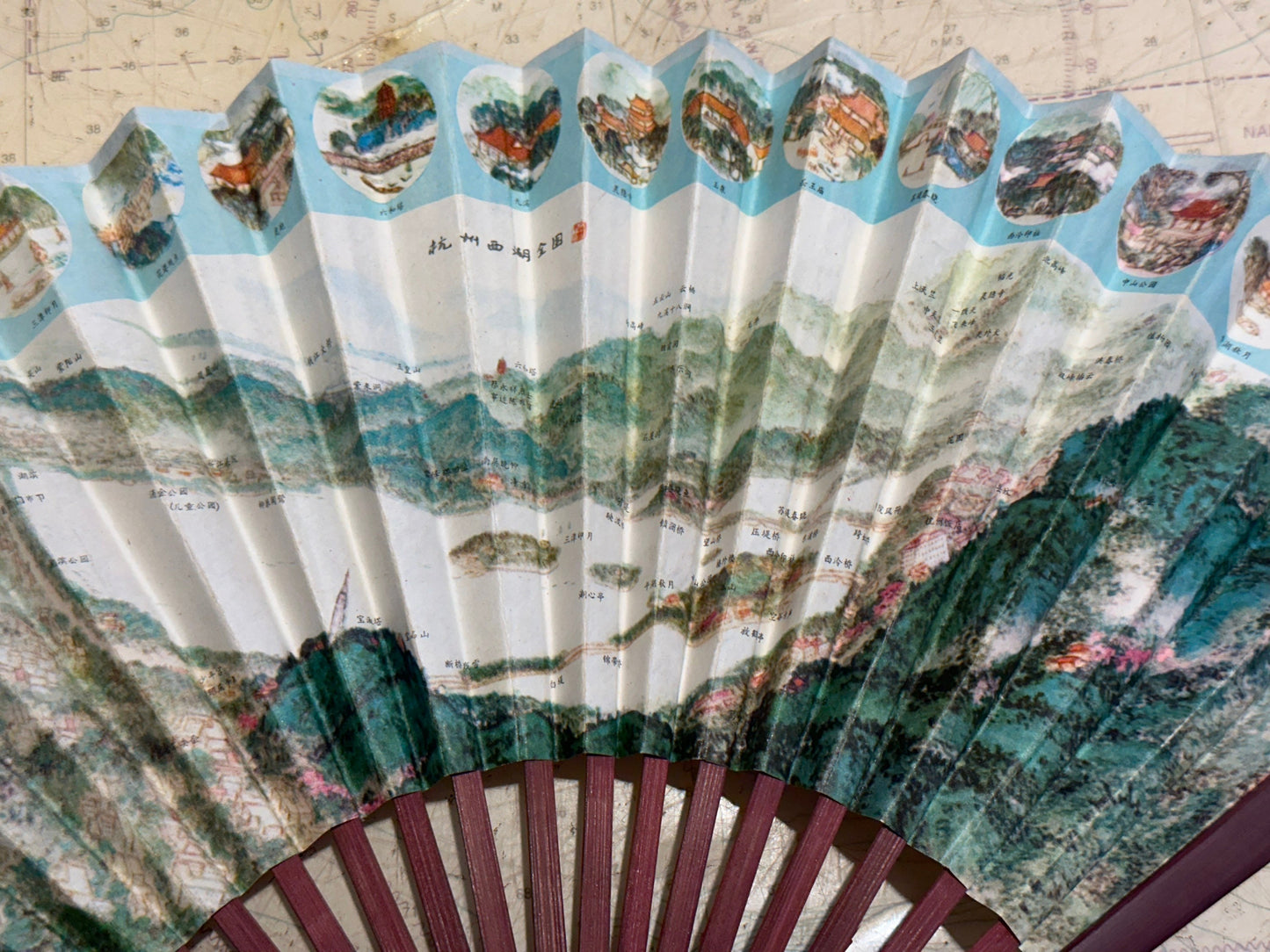 Chinese Hand Held Folding Fan | Paper Fan | Accessories