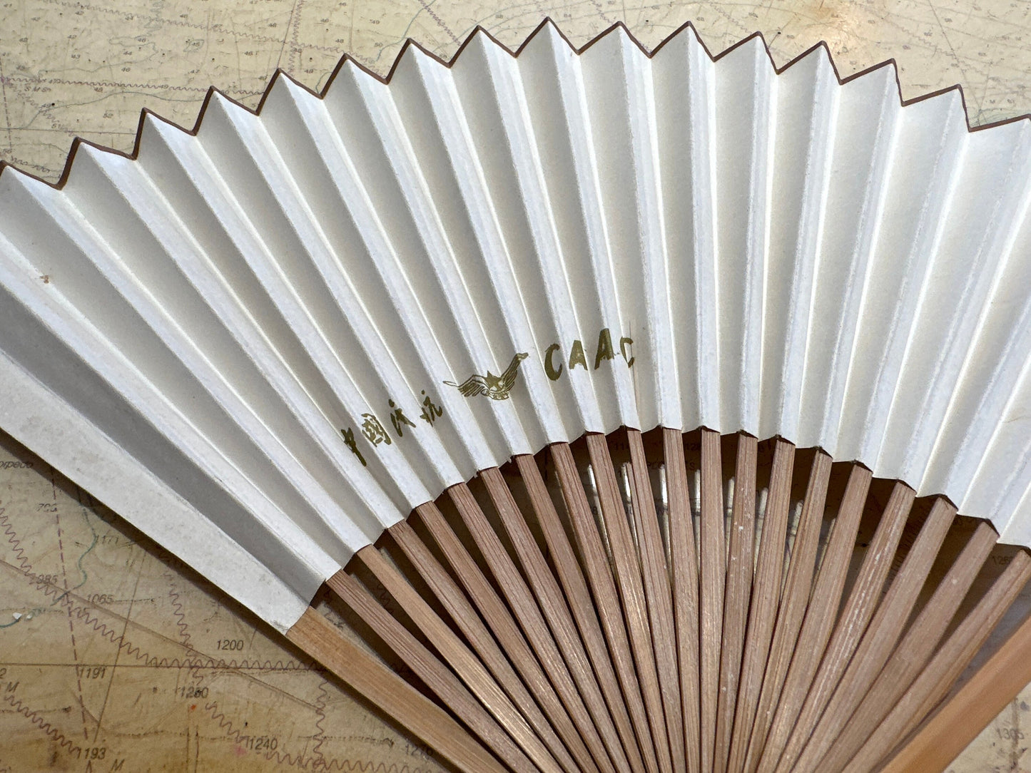 Chinese Hand Held Folding Fan | Paper Fan | Accessories