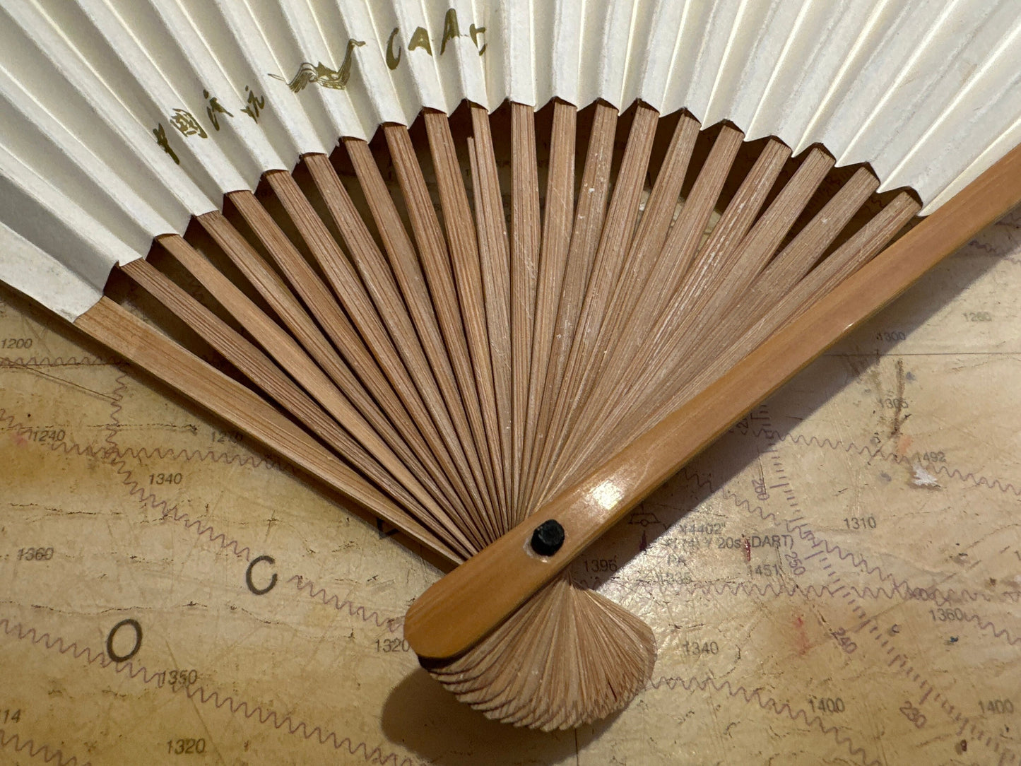 Chinese Hand Held Folding Fan | Paper Fan | Accessories