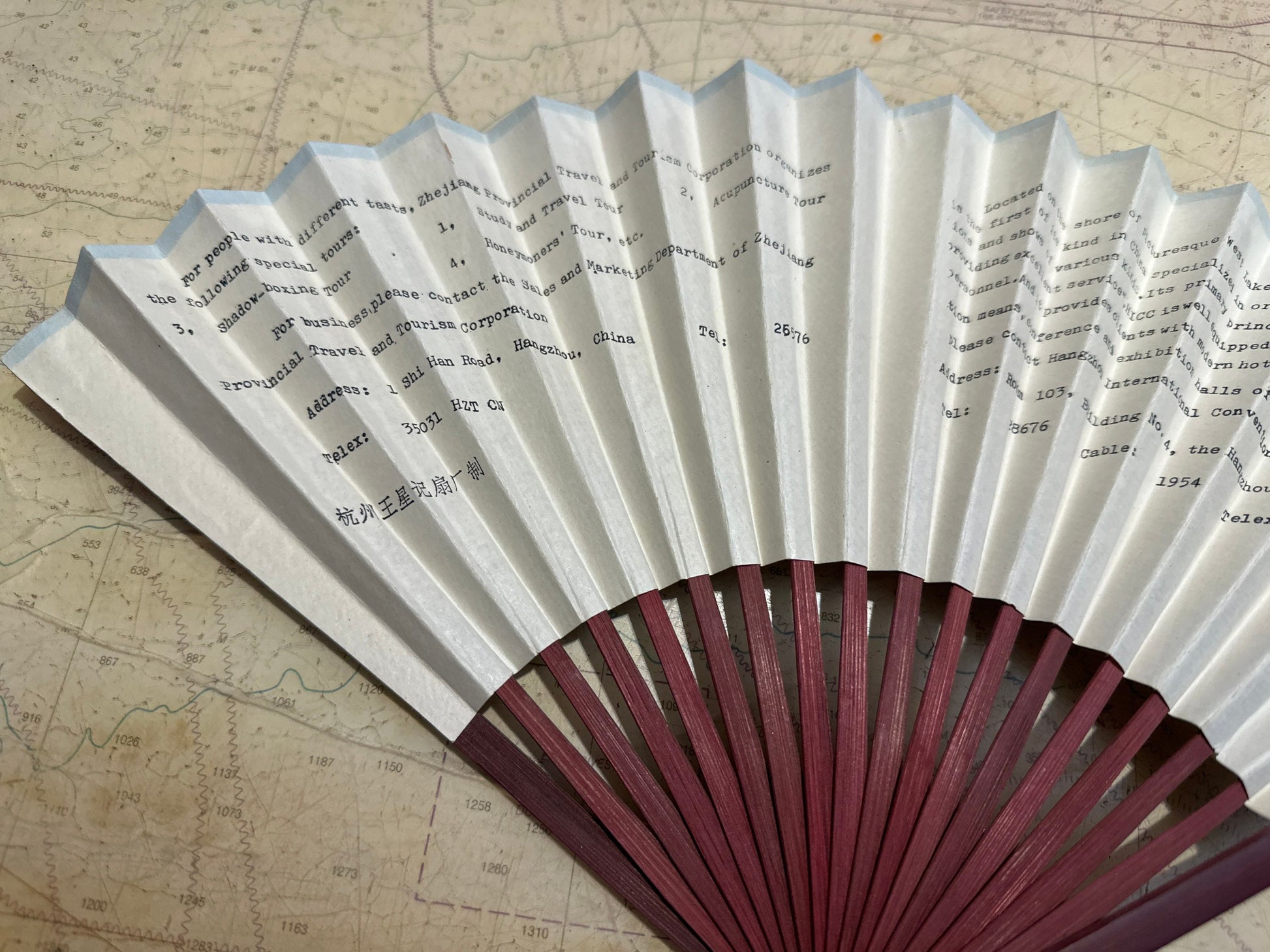 Chinese Hand Held Folding Fan | Paper Fan | Accessories