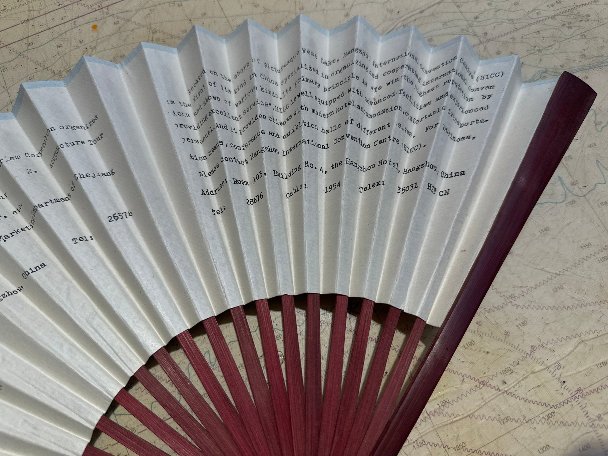 Chinese Hand Held Folding Fan | Paper Fan | Accessories