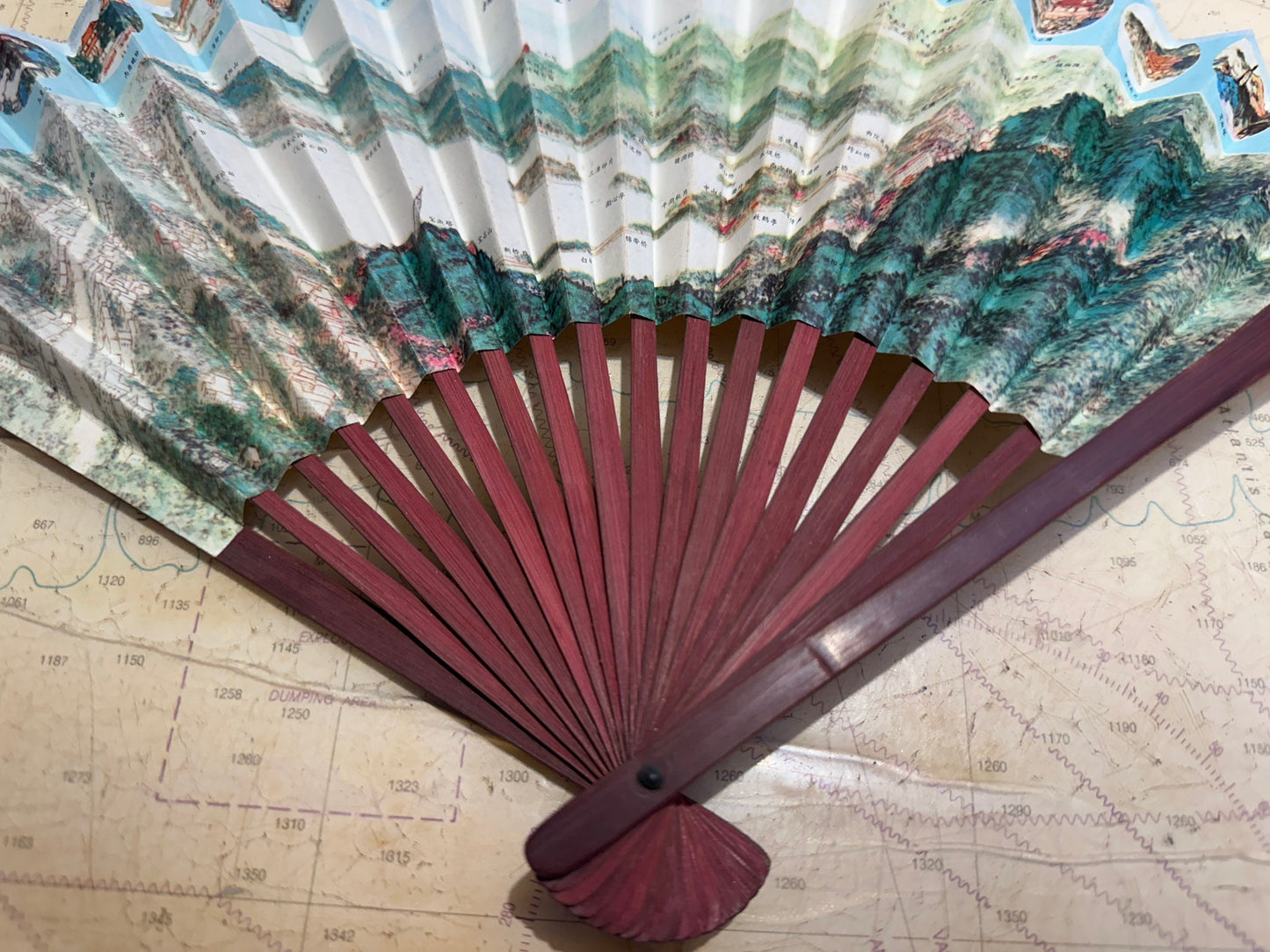 Chinese Hand Held Folding Fan | Paper Fan | Accessories