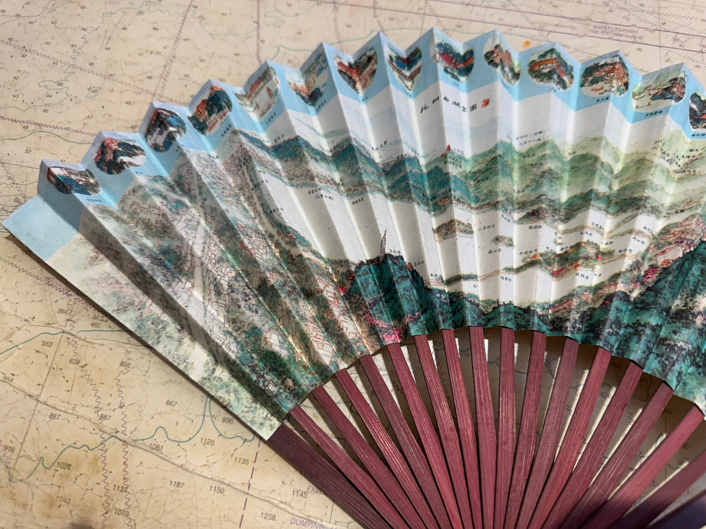 Chinese Hand Held Folding Fan | Paper Fan | Accessories