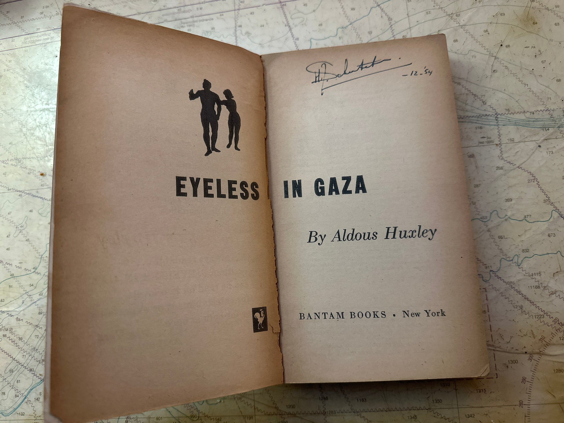 Eyeless In Gaza by Aldous Huxley, Classic Novel, English Literature Book, Fiction Book, Fiction Lover Gift